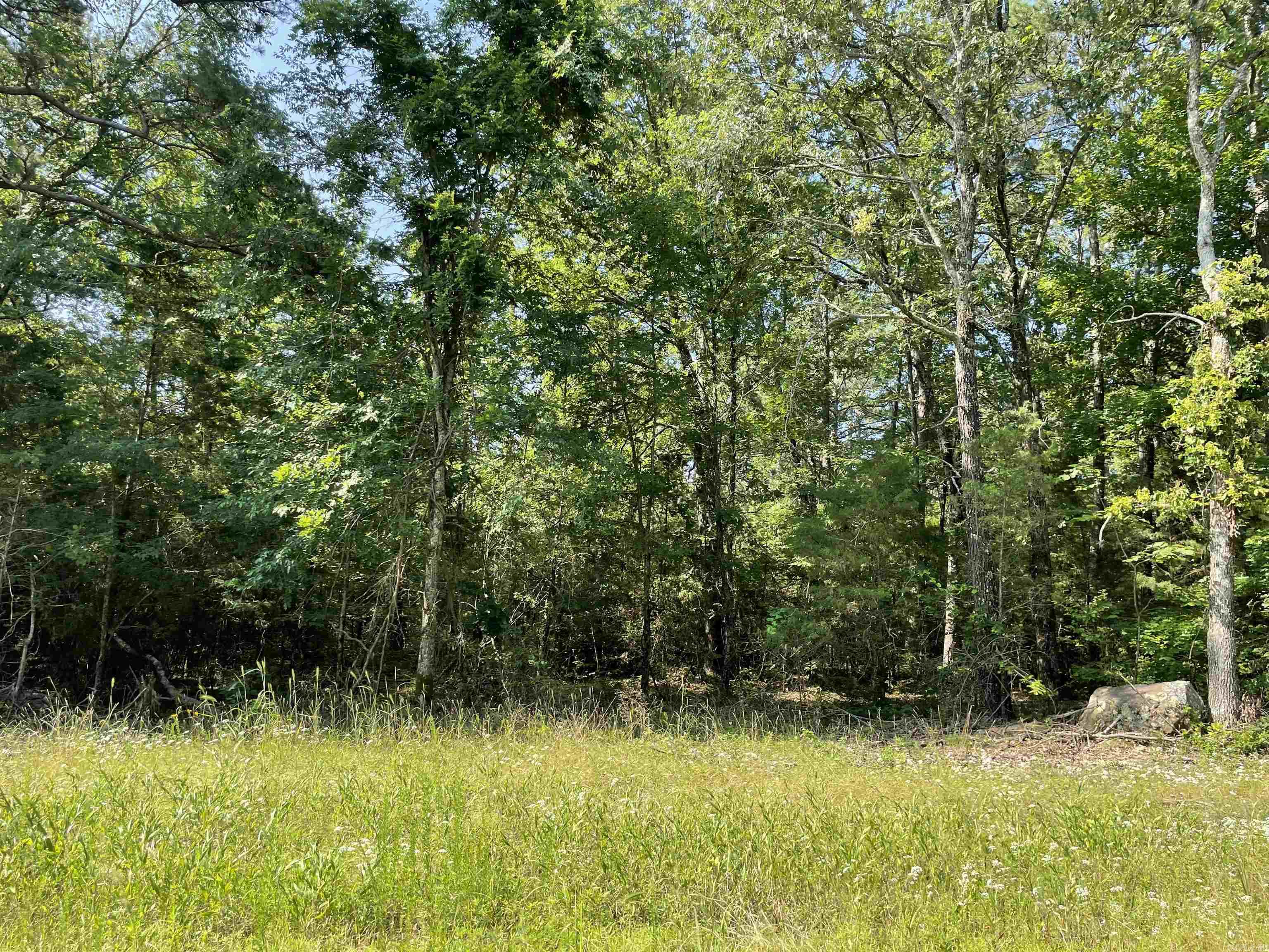 Lot 5 Pleasant Ridge Road Property Photo 4