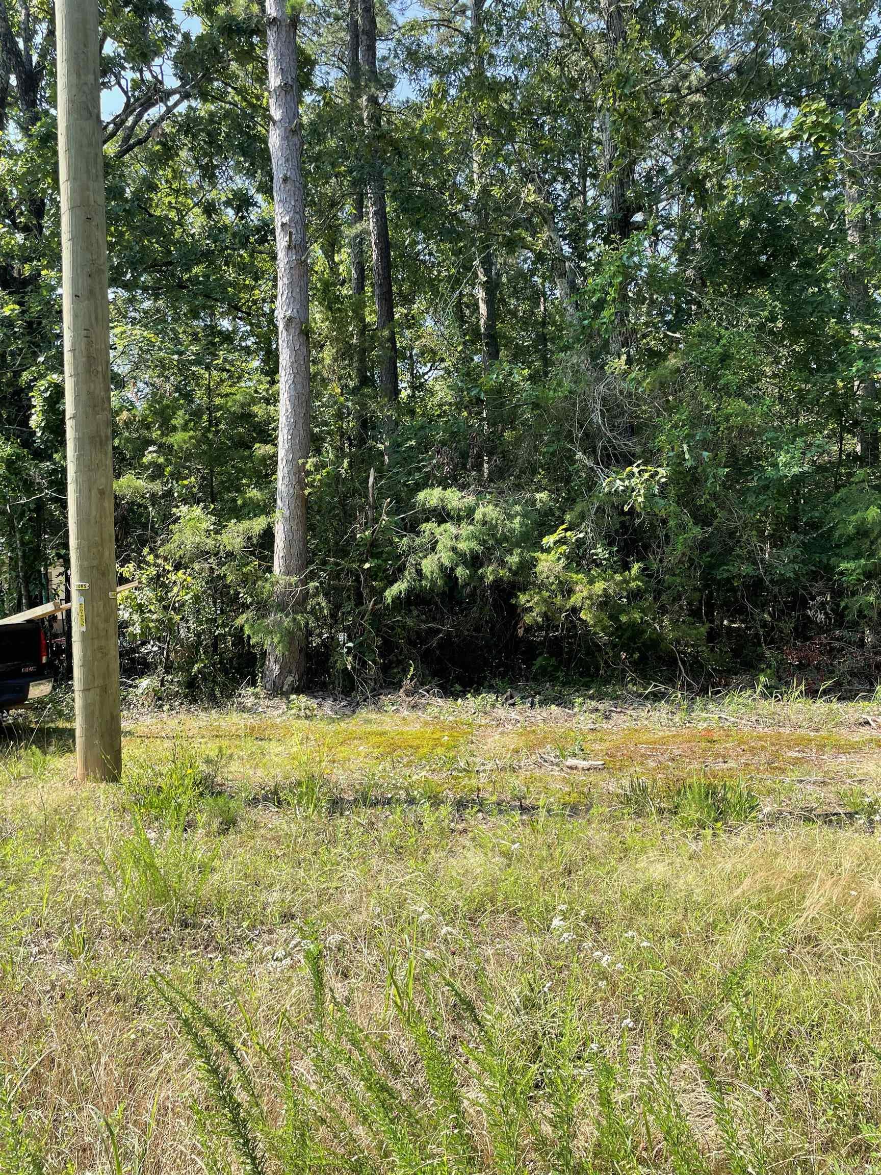 Lot 5 Pleasant Ridge Road Property Photo 6