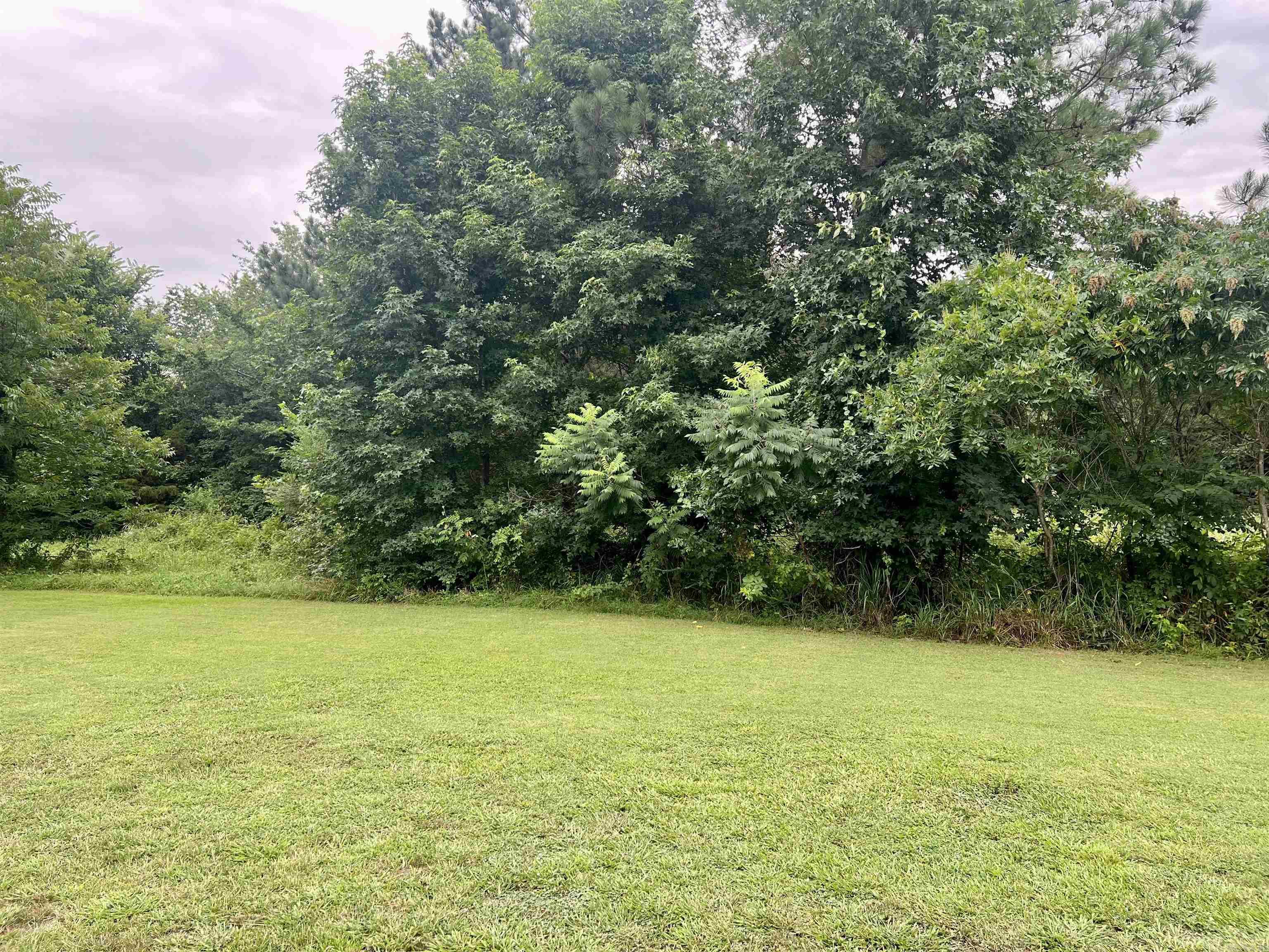 138 Mountain Side Drive Property Photo 3