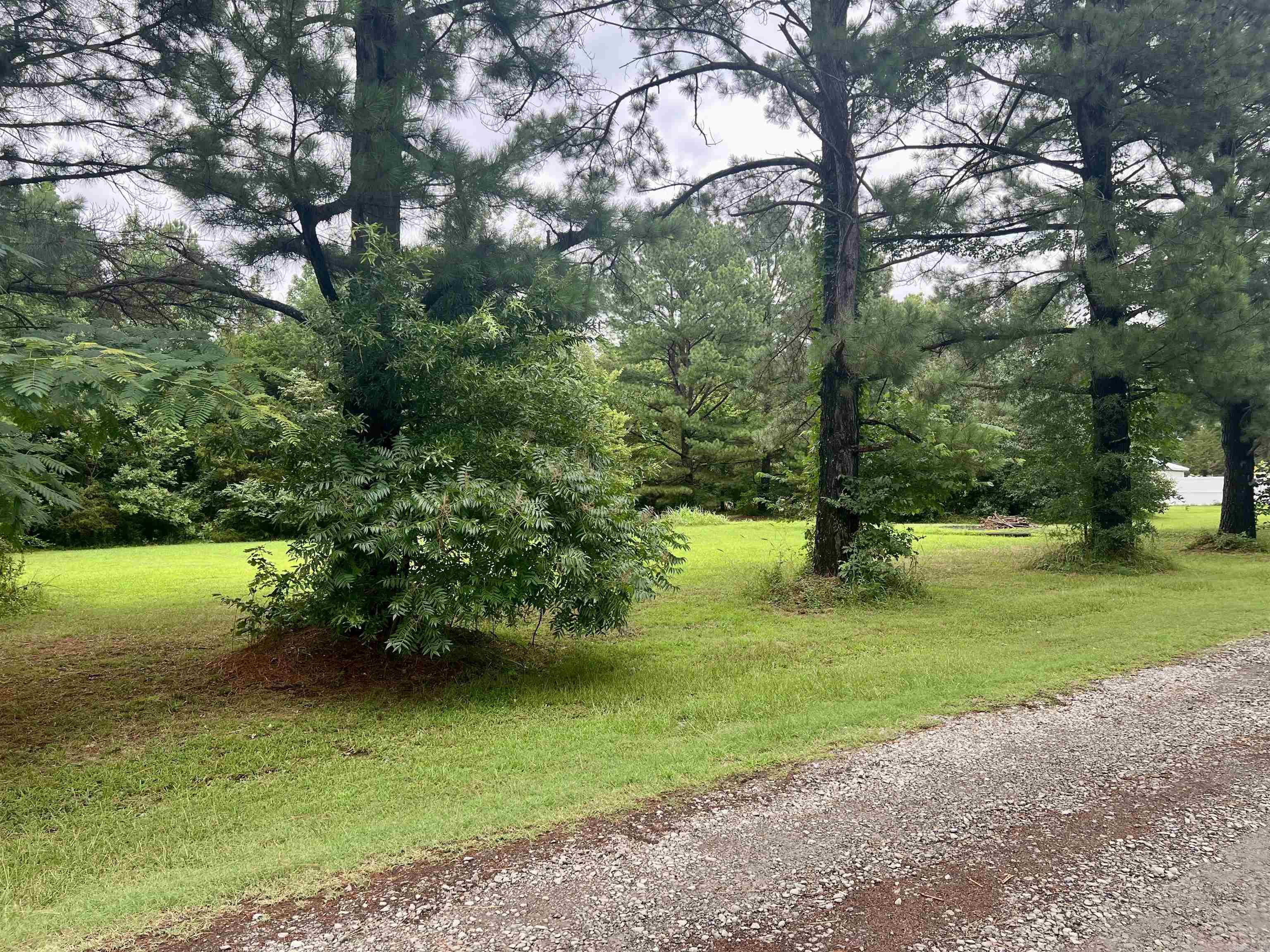 100 Mountain Side Drive Property Photo 2