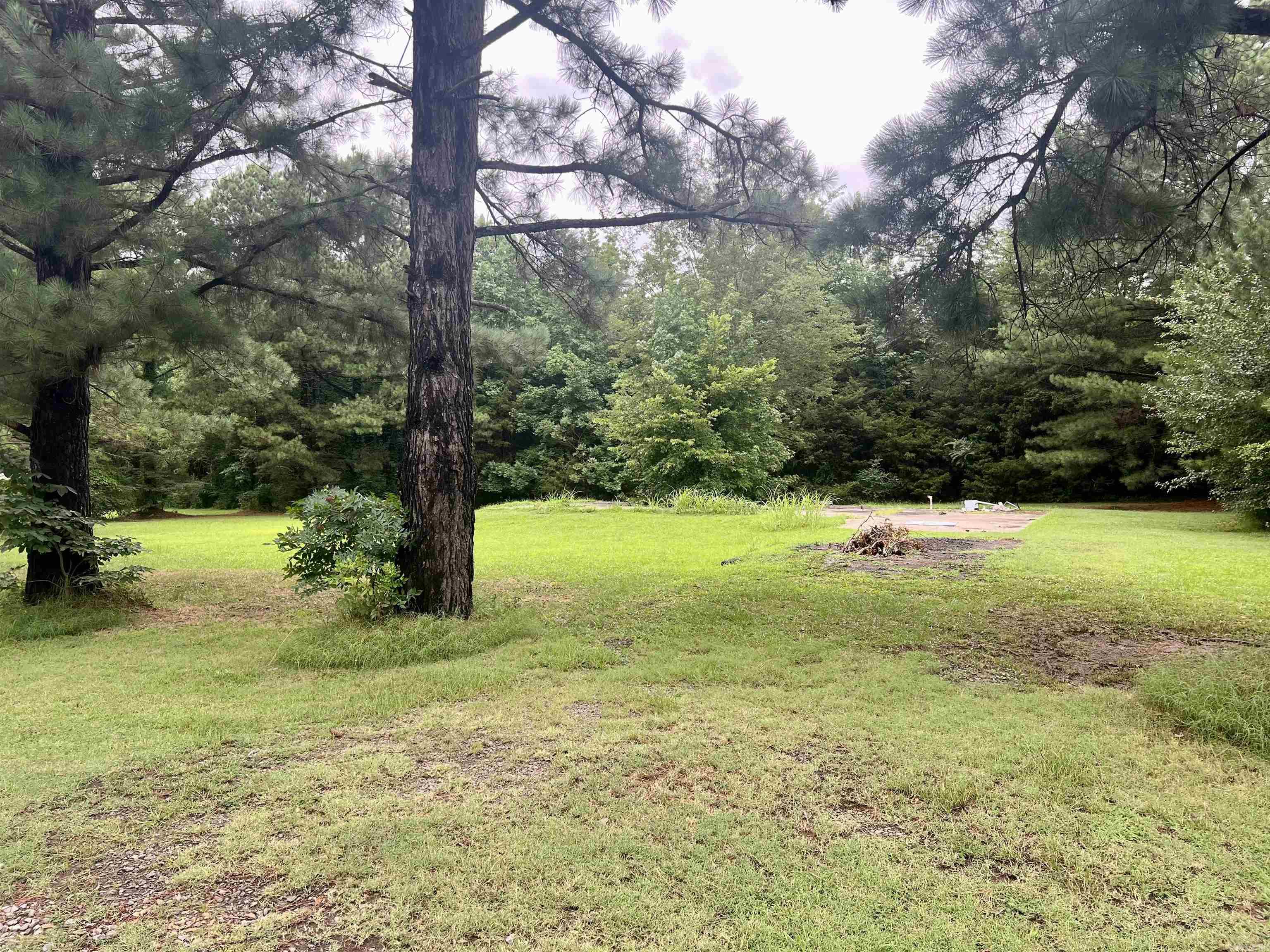 100 Mountain Side Drive Property Photo 3