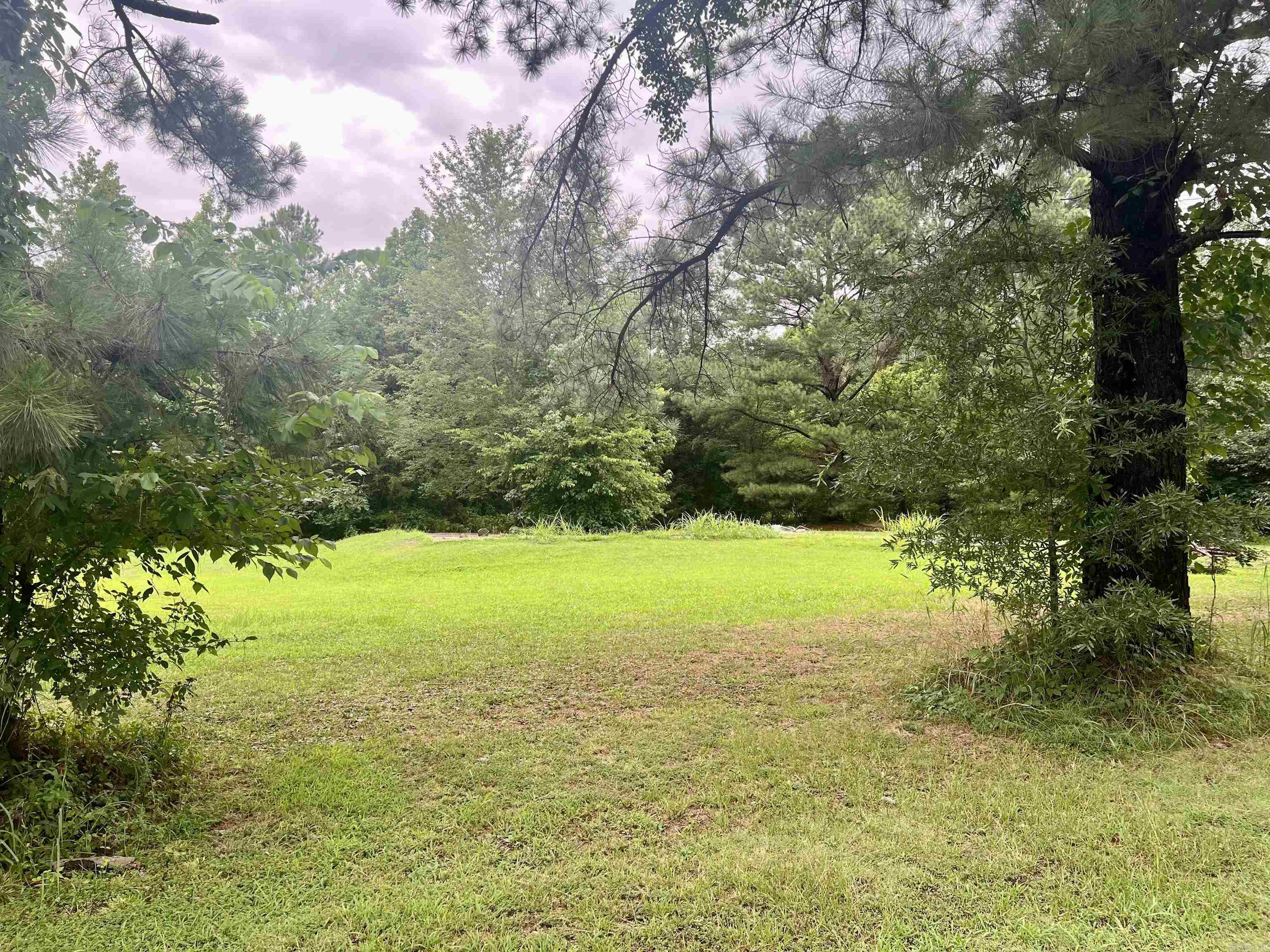 100 Mountain Side Drive Property Photo 4