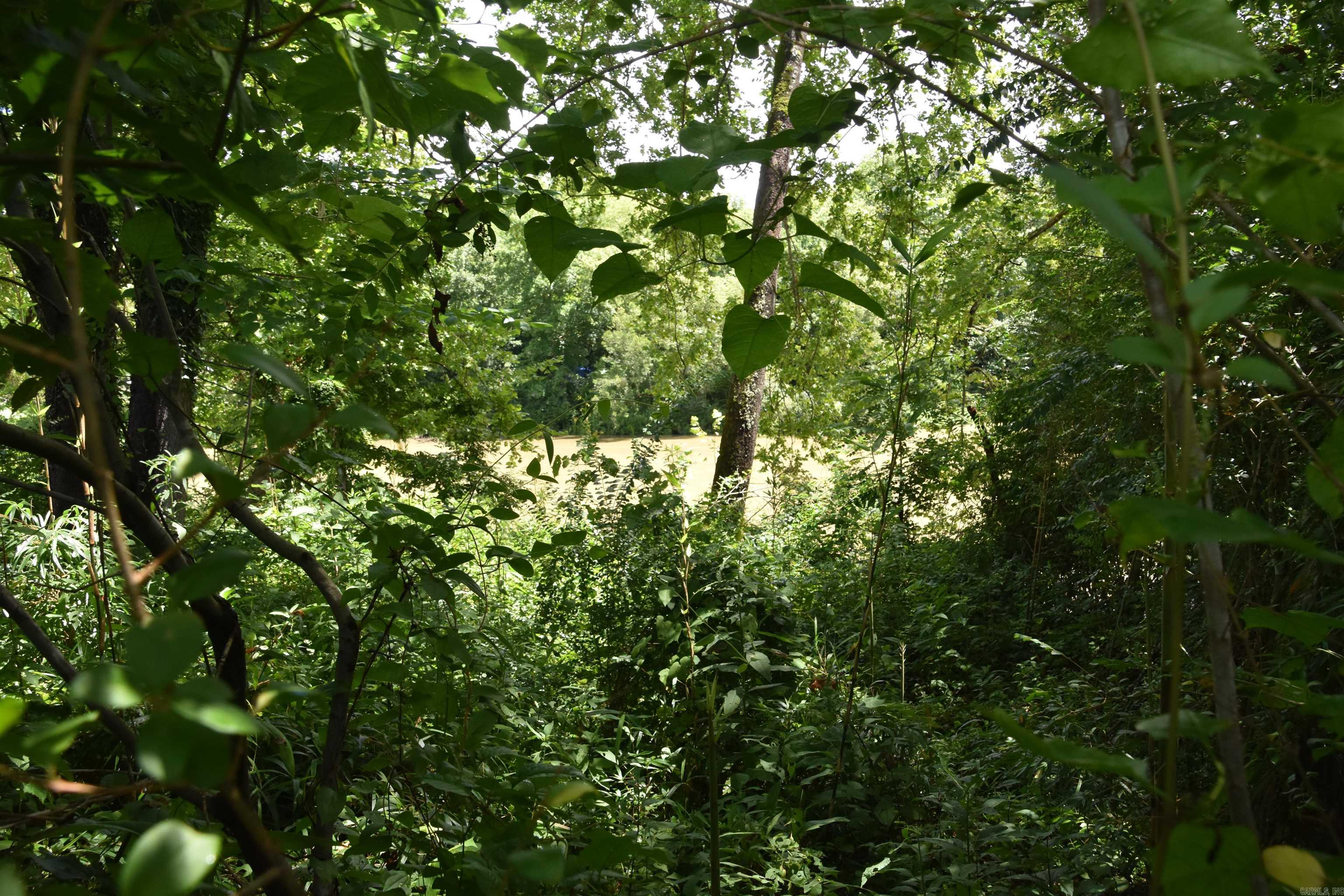 Lot 8 River Crest Drive Property Photo 14