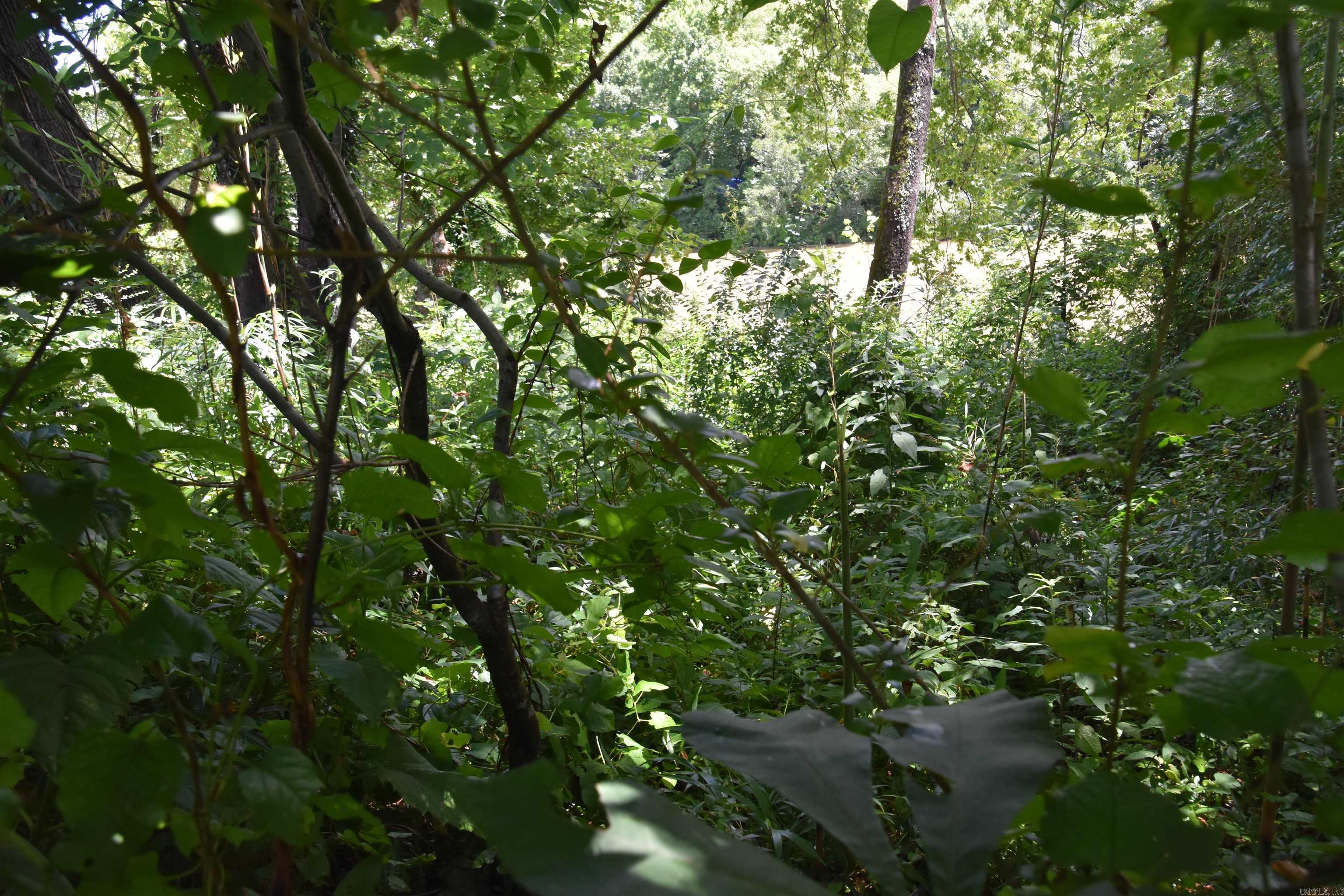 Lot 8 River Crest Drive Property Photo 15