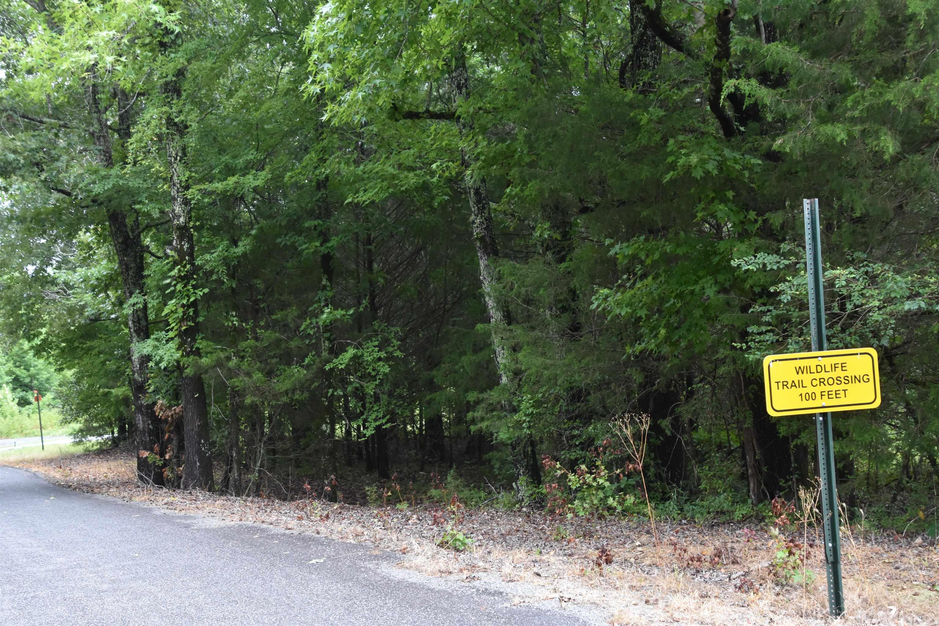 Lot 8 River Crest Drive Property Photo 19