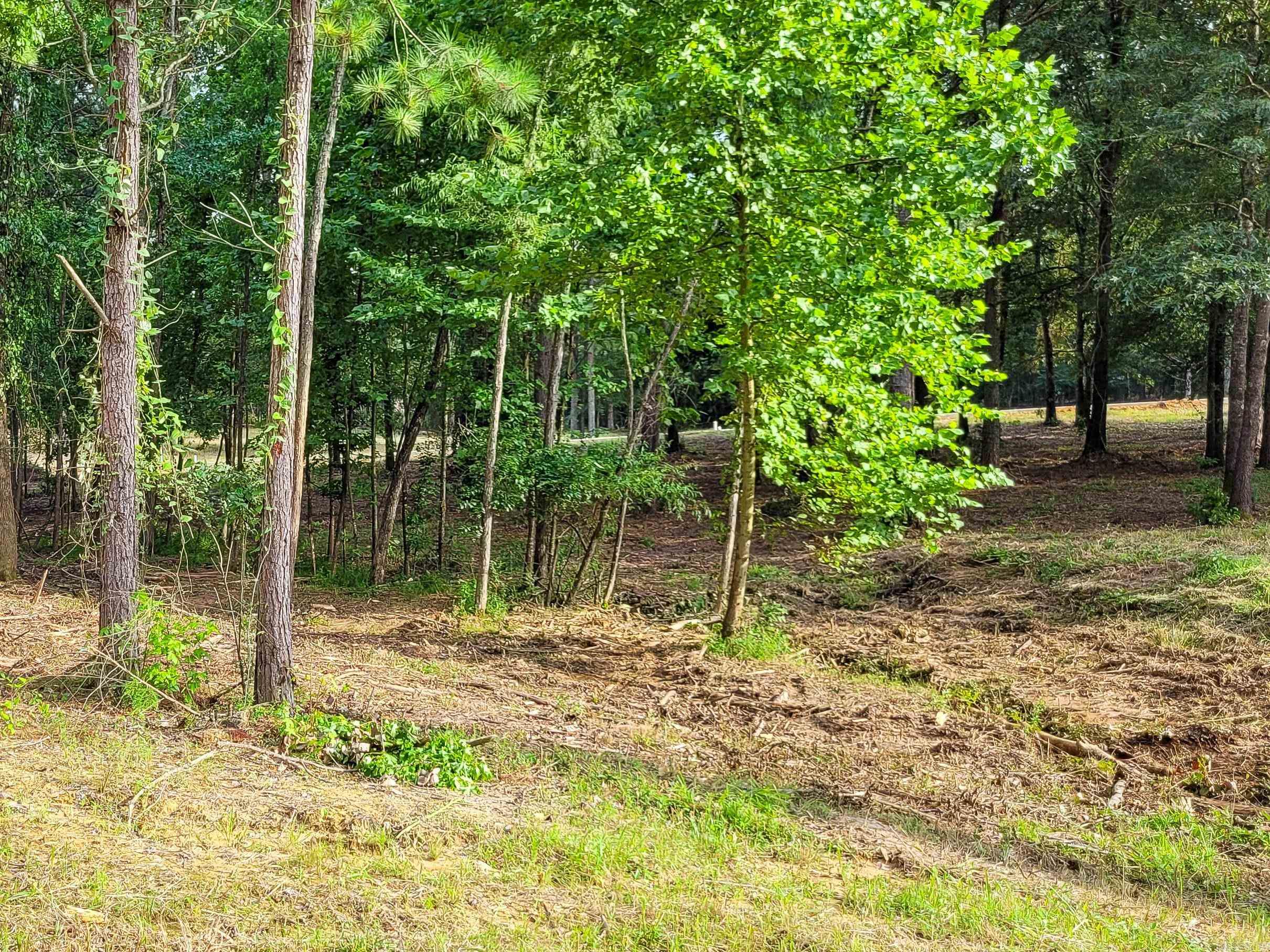 145 Leopard Drive Property Photo 16
