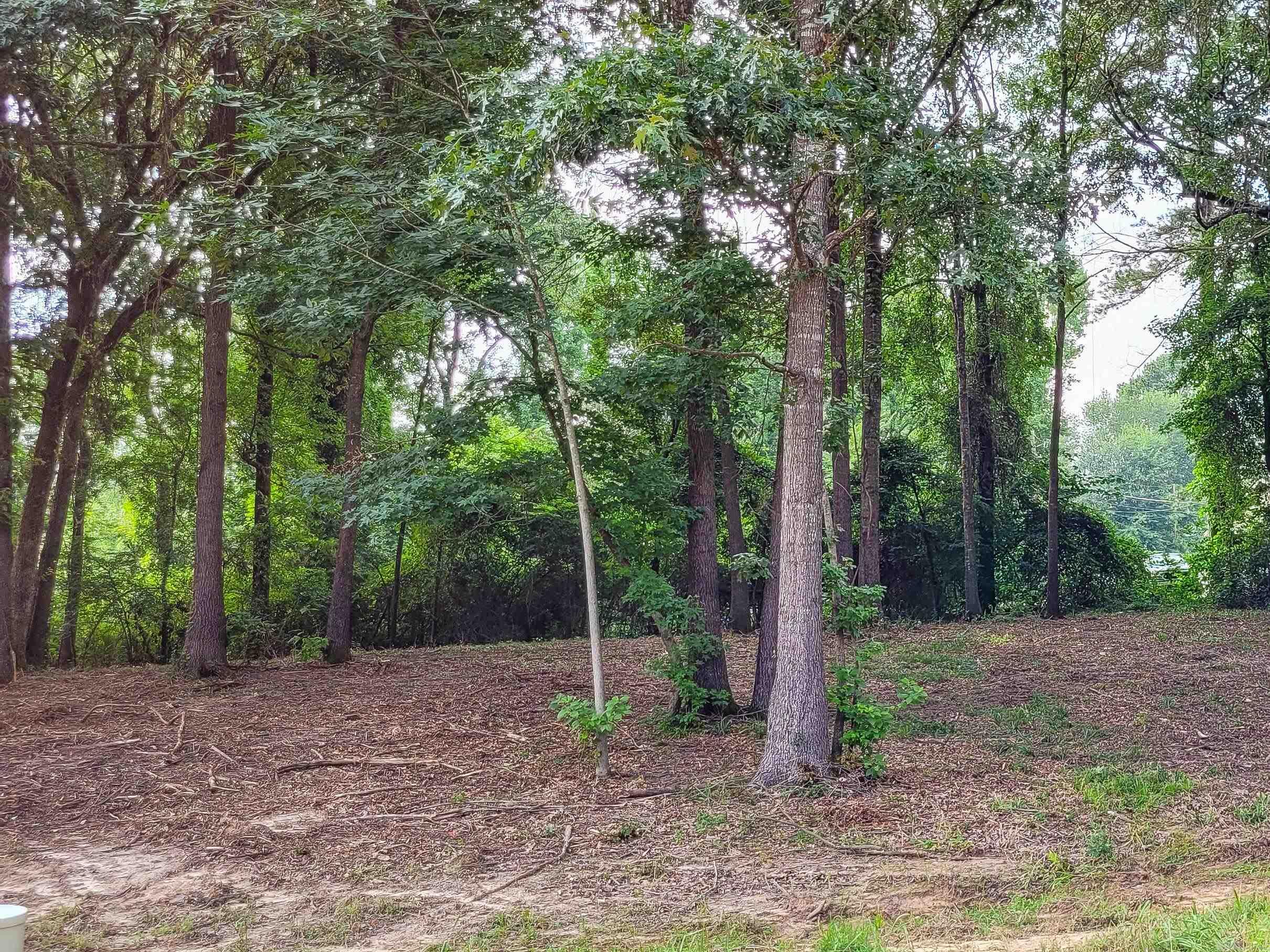 108 Jt Circle Property Photo 12
