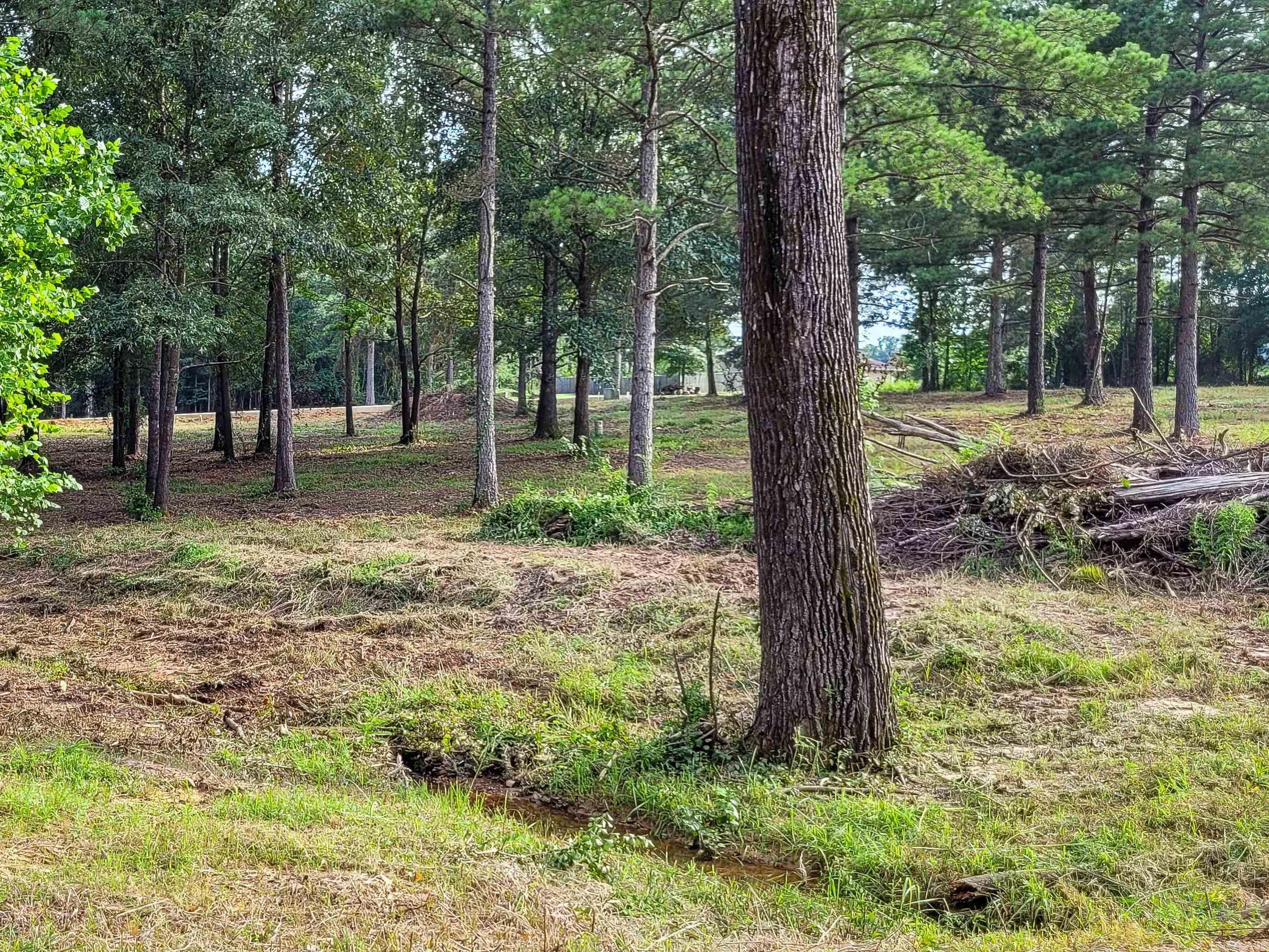 108 Jt Circle Property Photo 15