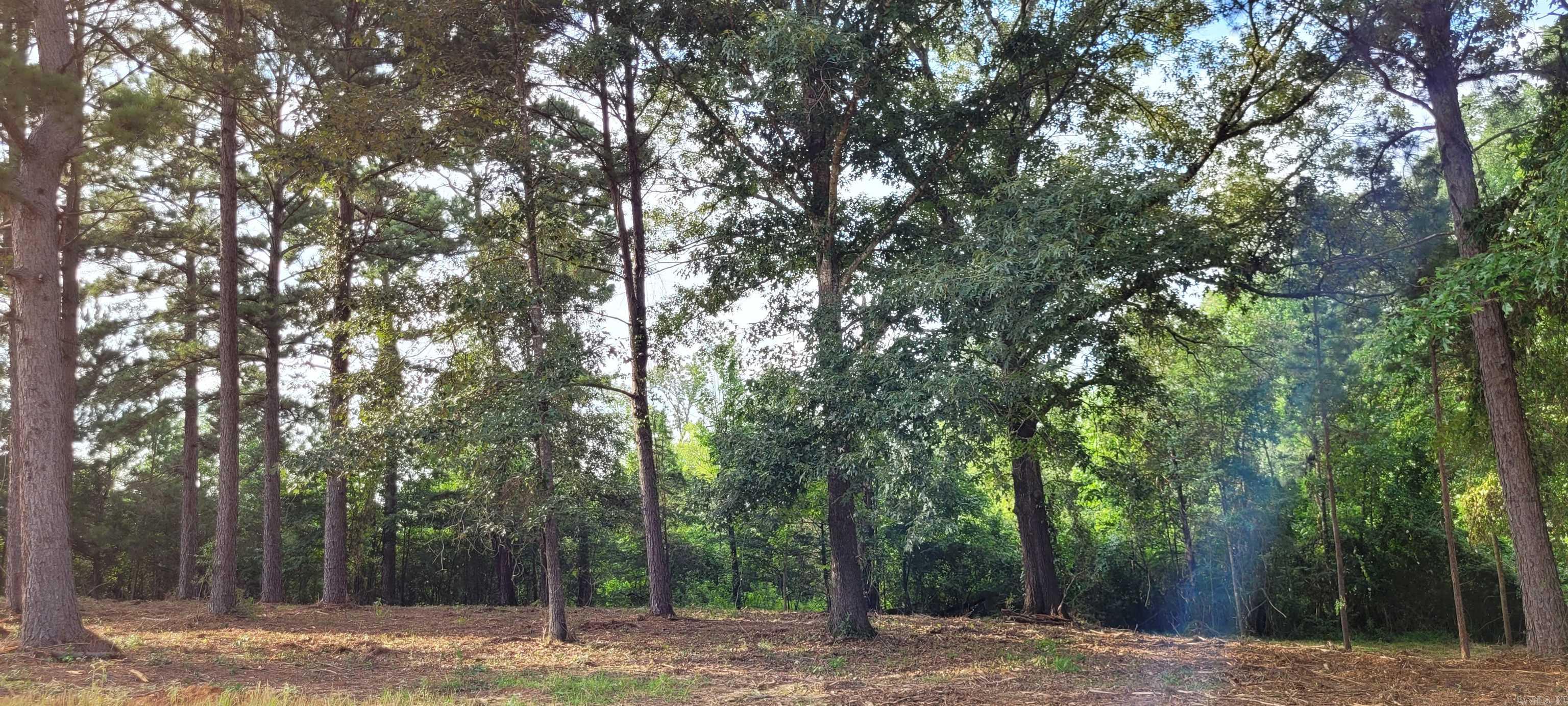 108 Jt Circle Property Photo 26