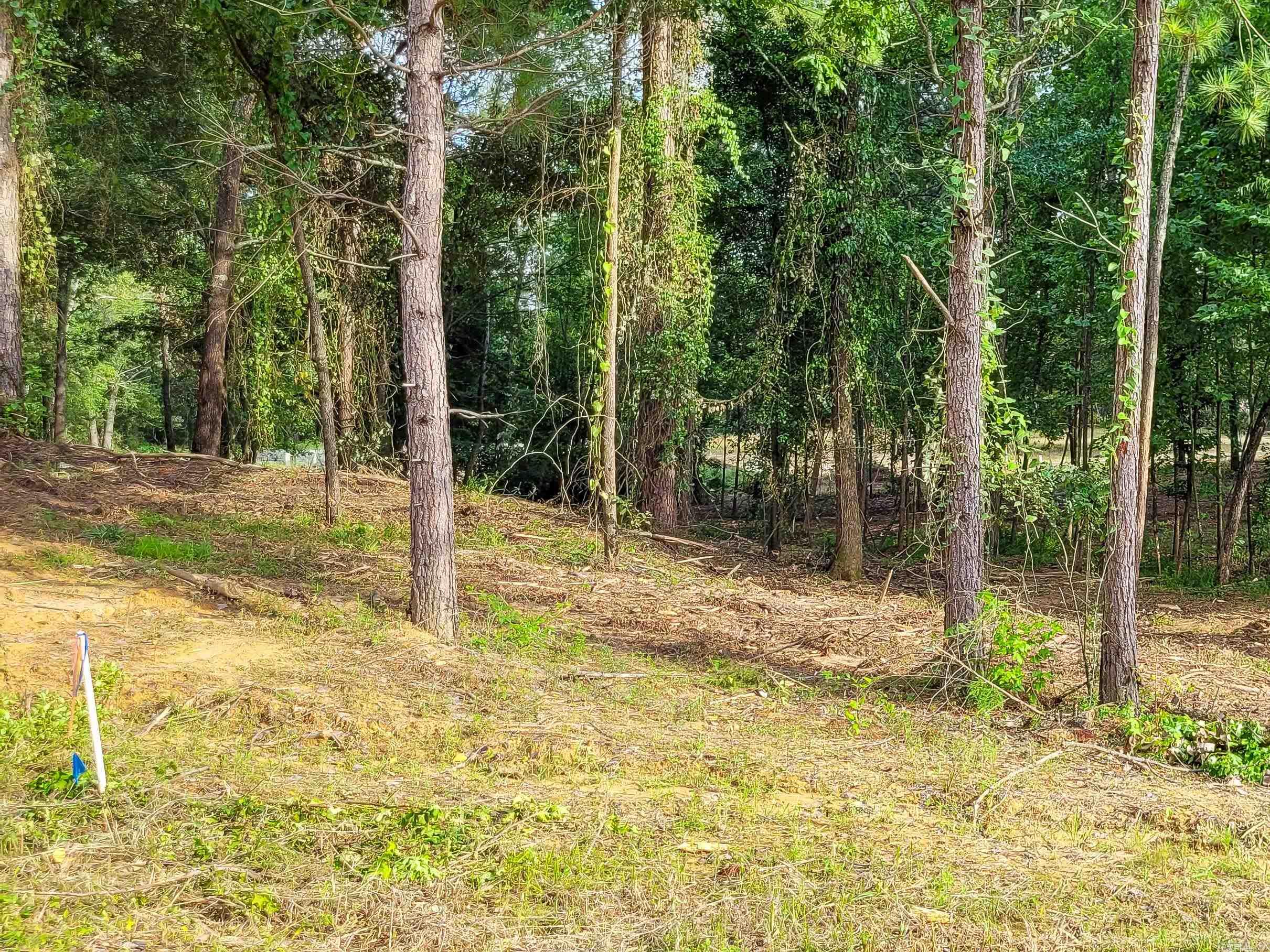 112 Jt Circle Property Photo 13