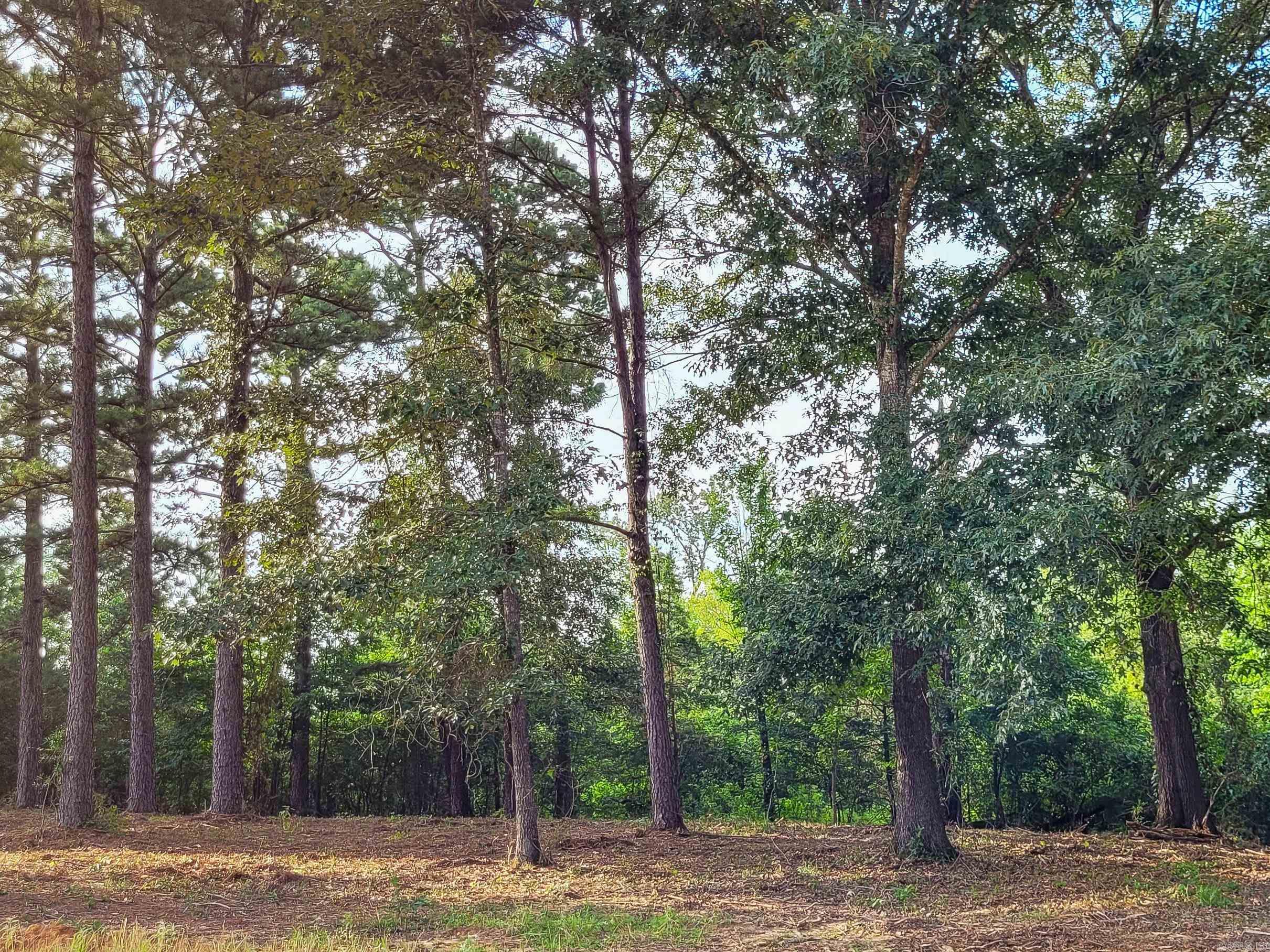 112 Jt Circle Property Photo 17