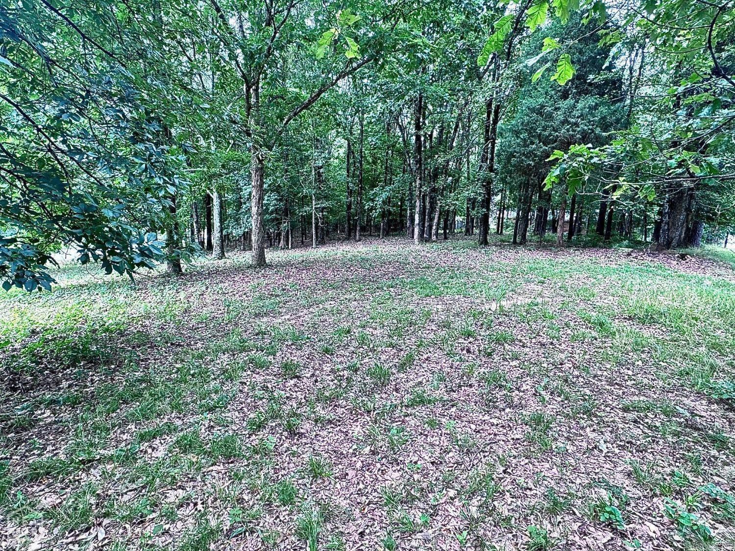 1 Carawaygreensboro Road Property Photo 1