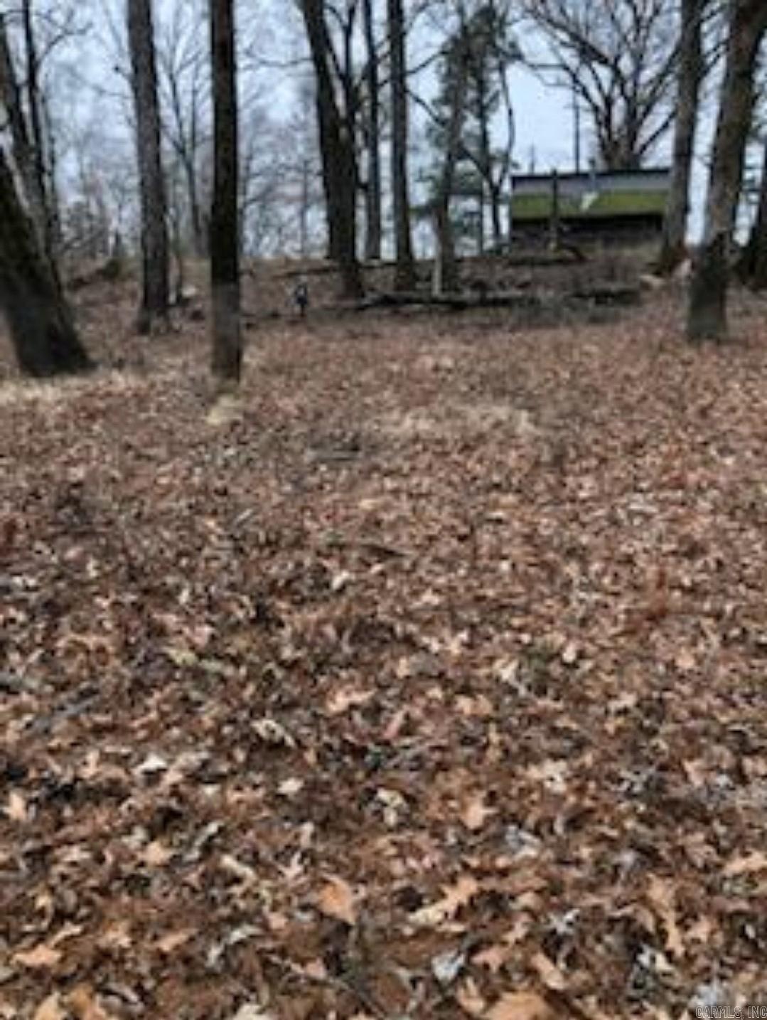 0 Cypert Bluff Road Property Photo 8