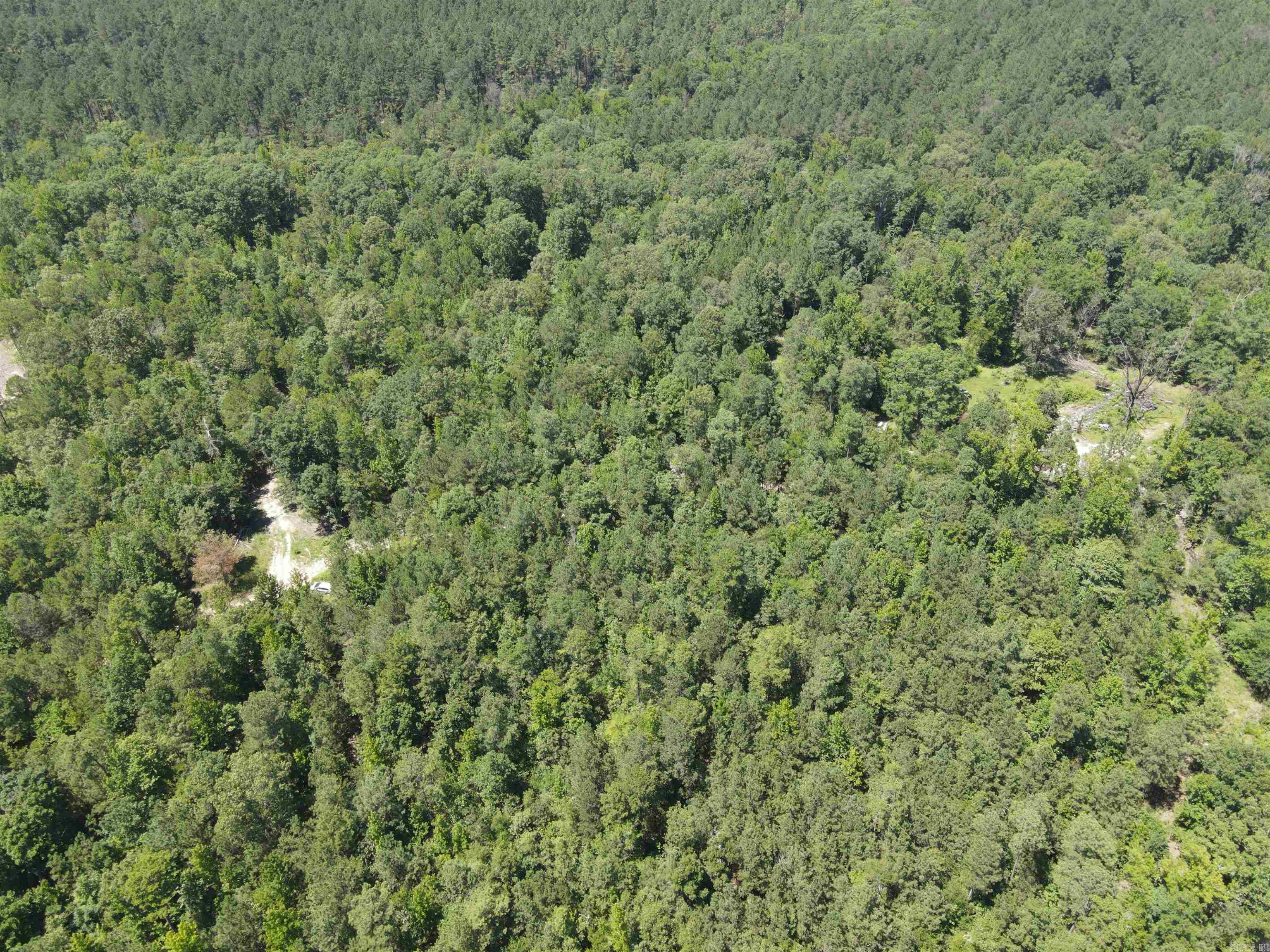 Xxxx Chicot Trail Property Photo 4