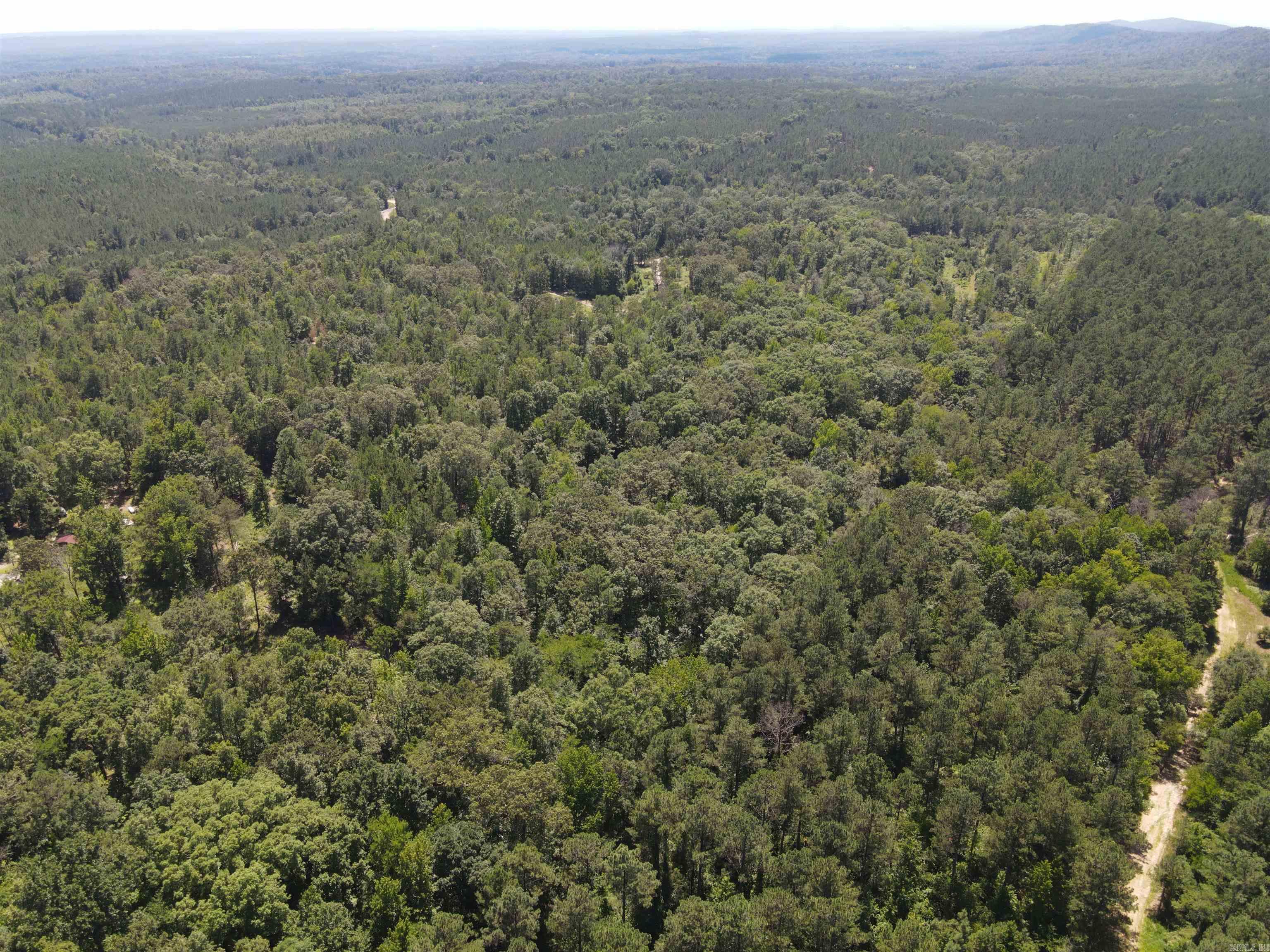 Xxxx Chicot Trail Property Photo 6