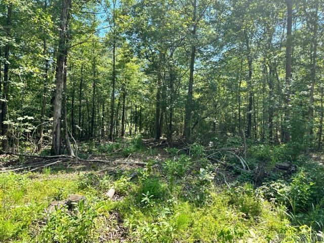 Xxxx Chicot Trail Property Photo 7