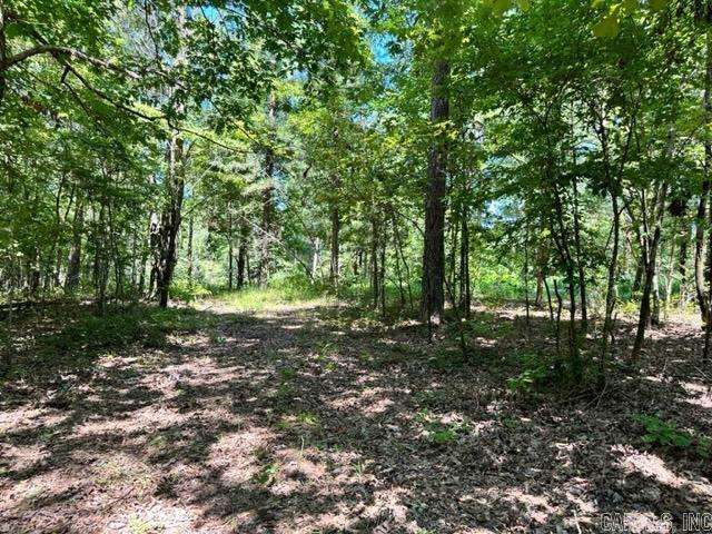 Xxxx Chicot Trail Property Photo 8