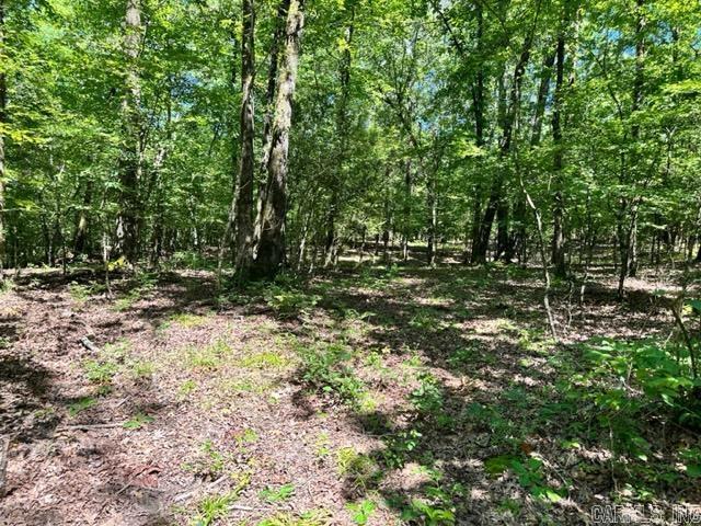 Xxxx Chicot Trail Property Photo 9