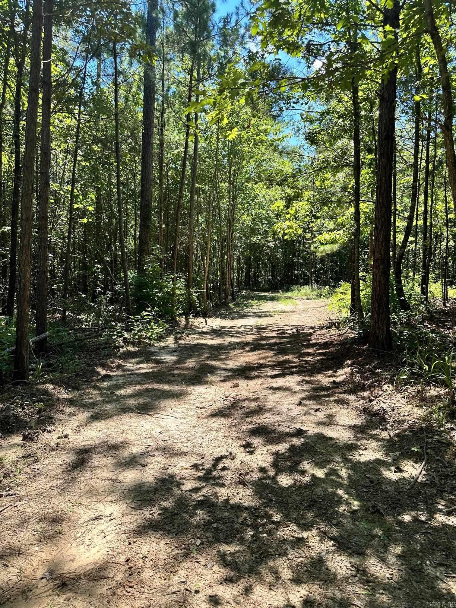 Xxxx Chicot Trail Property Photo 10