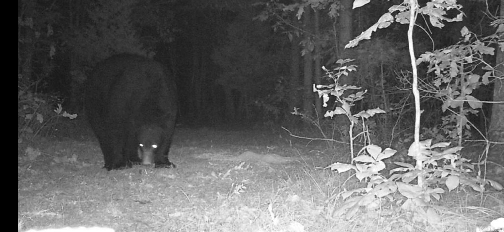 Xxxx Chicot Trail Property Photo 14