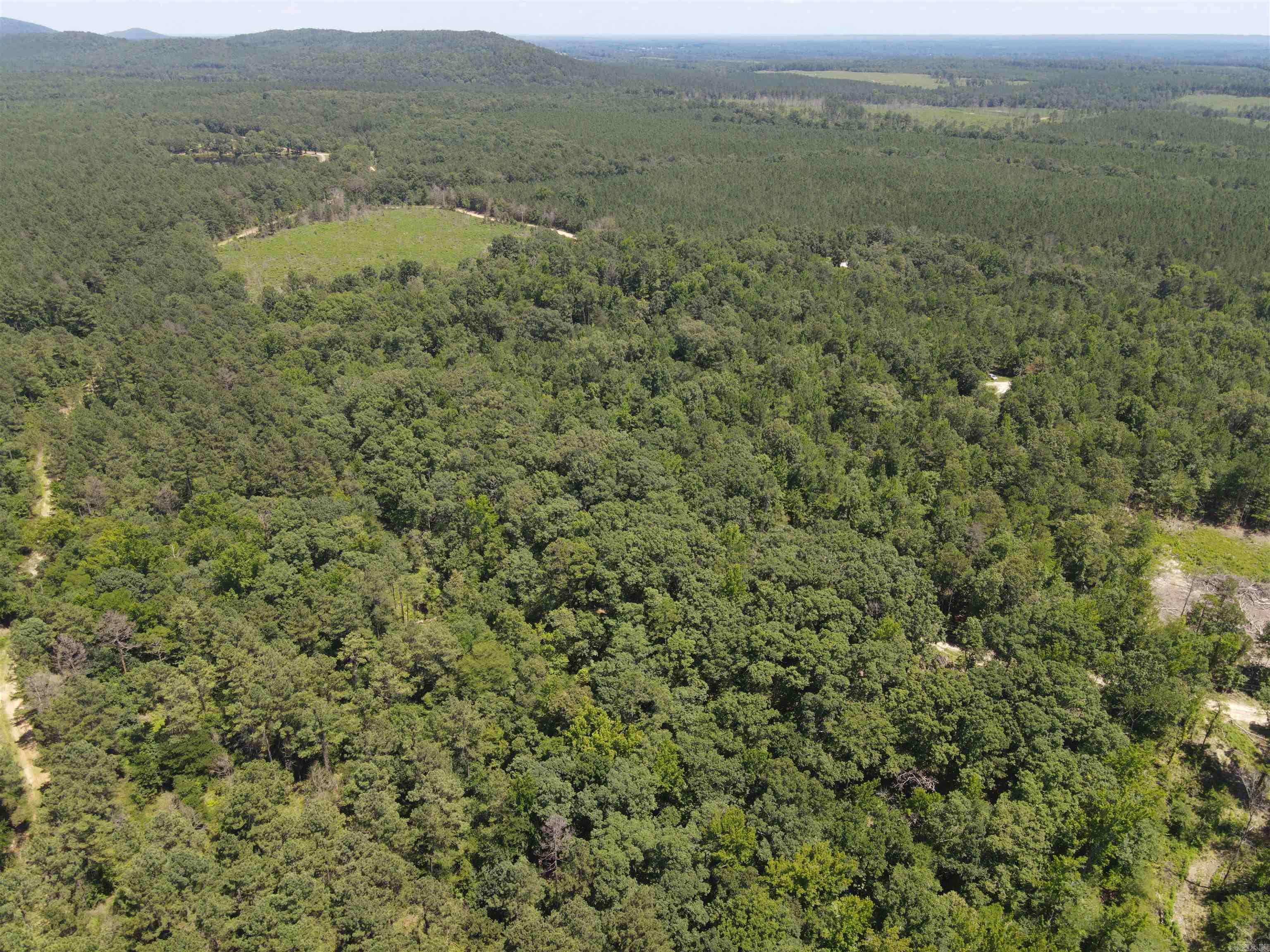 0000 Chicot Trail Property Photo 3