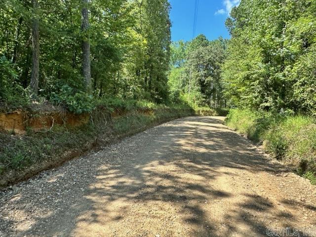 0000 Chicot Trail Property Photo 6