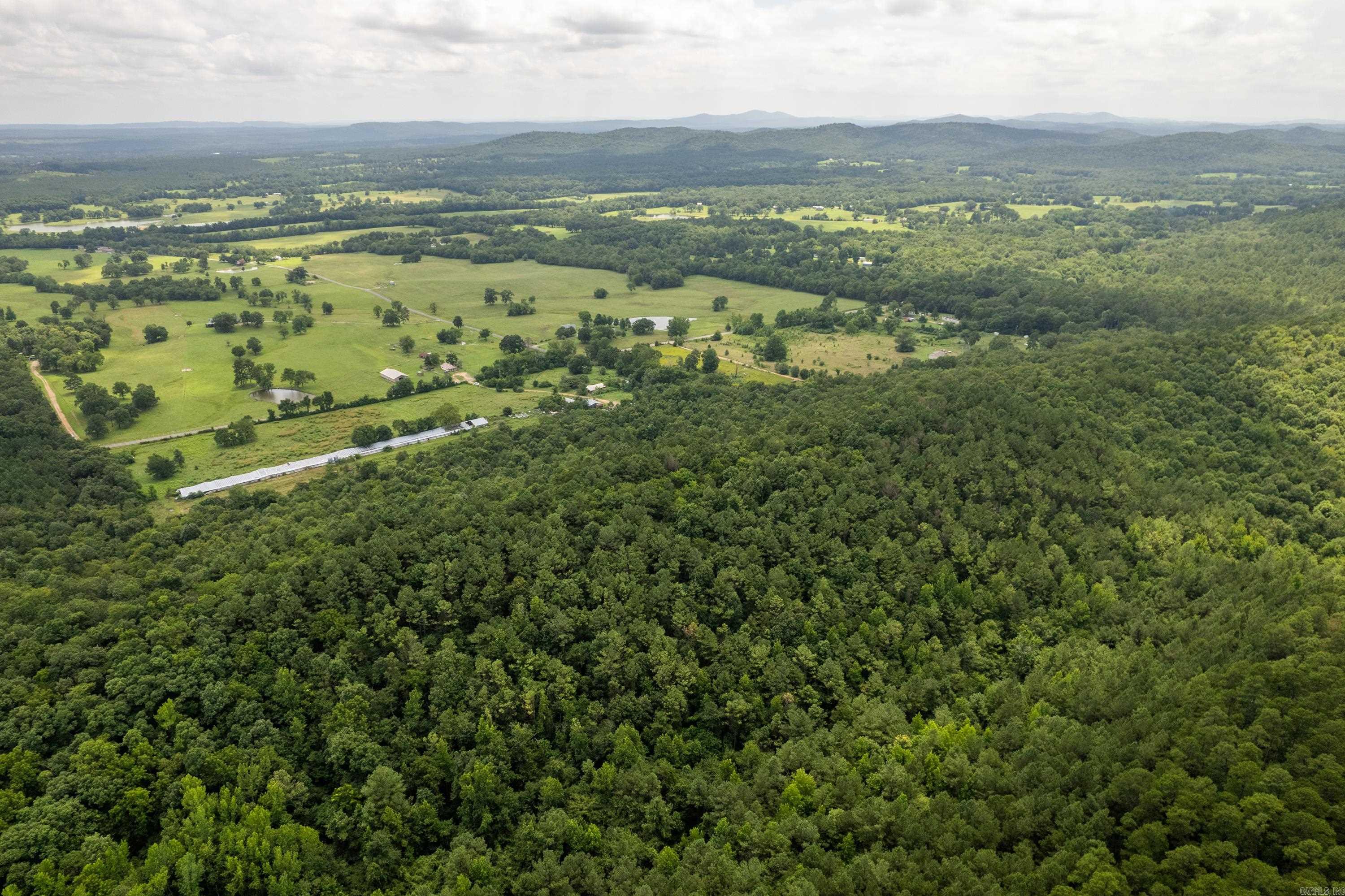 Ragweed Valley Road Property Photo 10