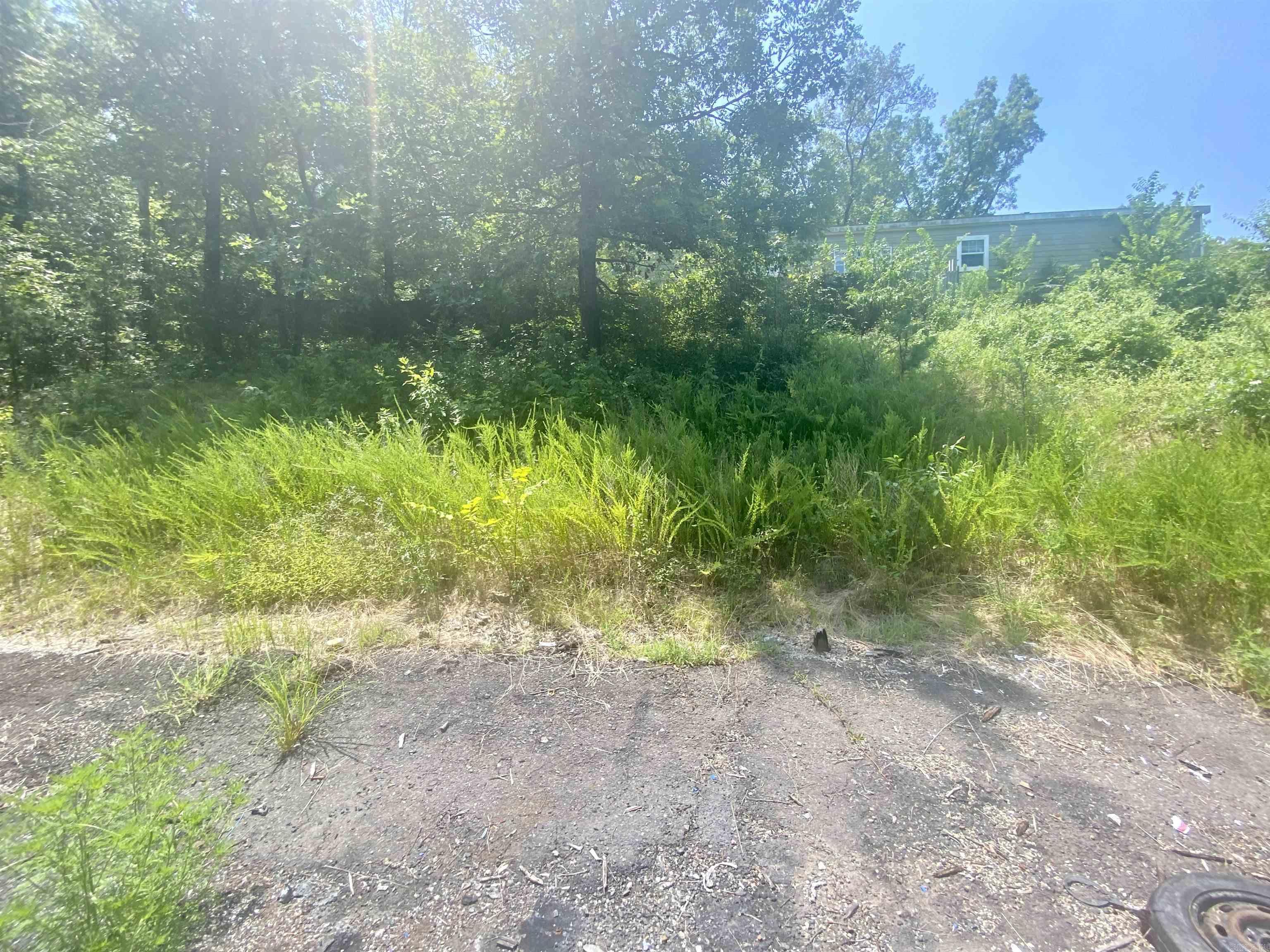 130 Piney Loop Property Photo 1