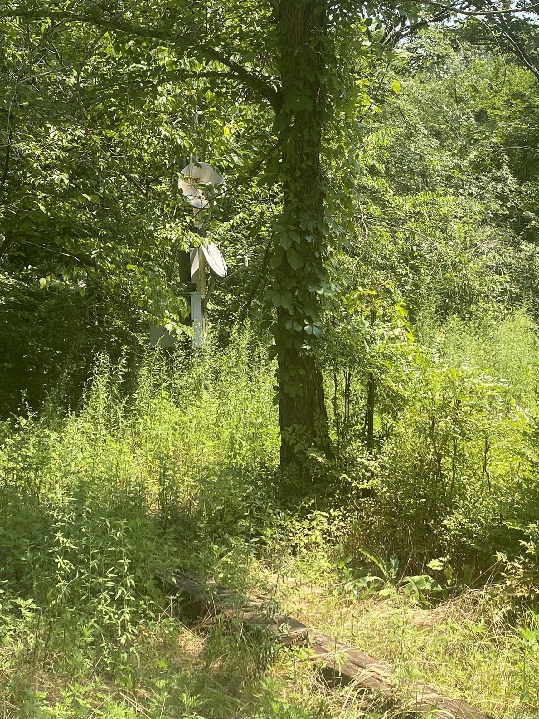 130 Piney Loop Property Photo 2