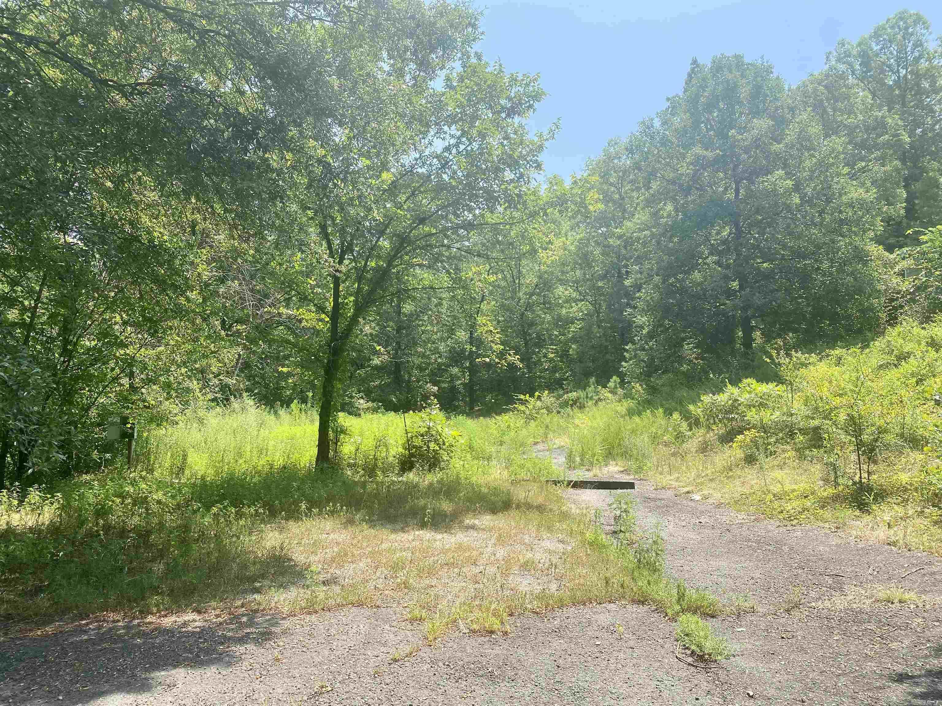 130 Piney Loop Property Photo 3