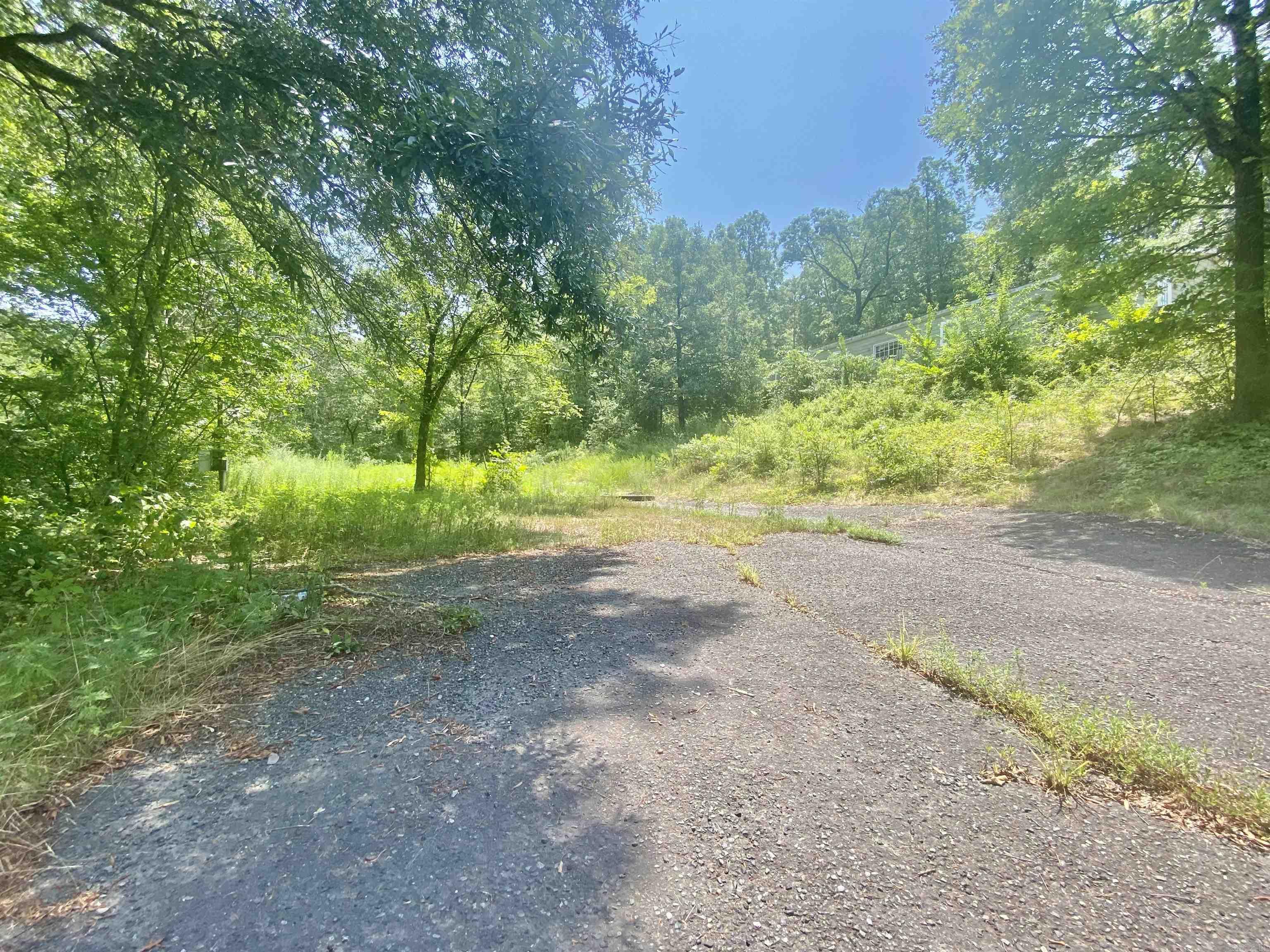 130 Piney Loop Property Photo 5