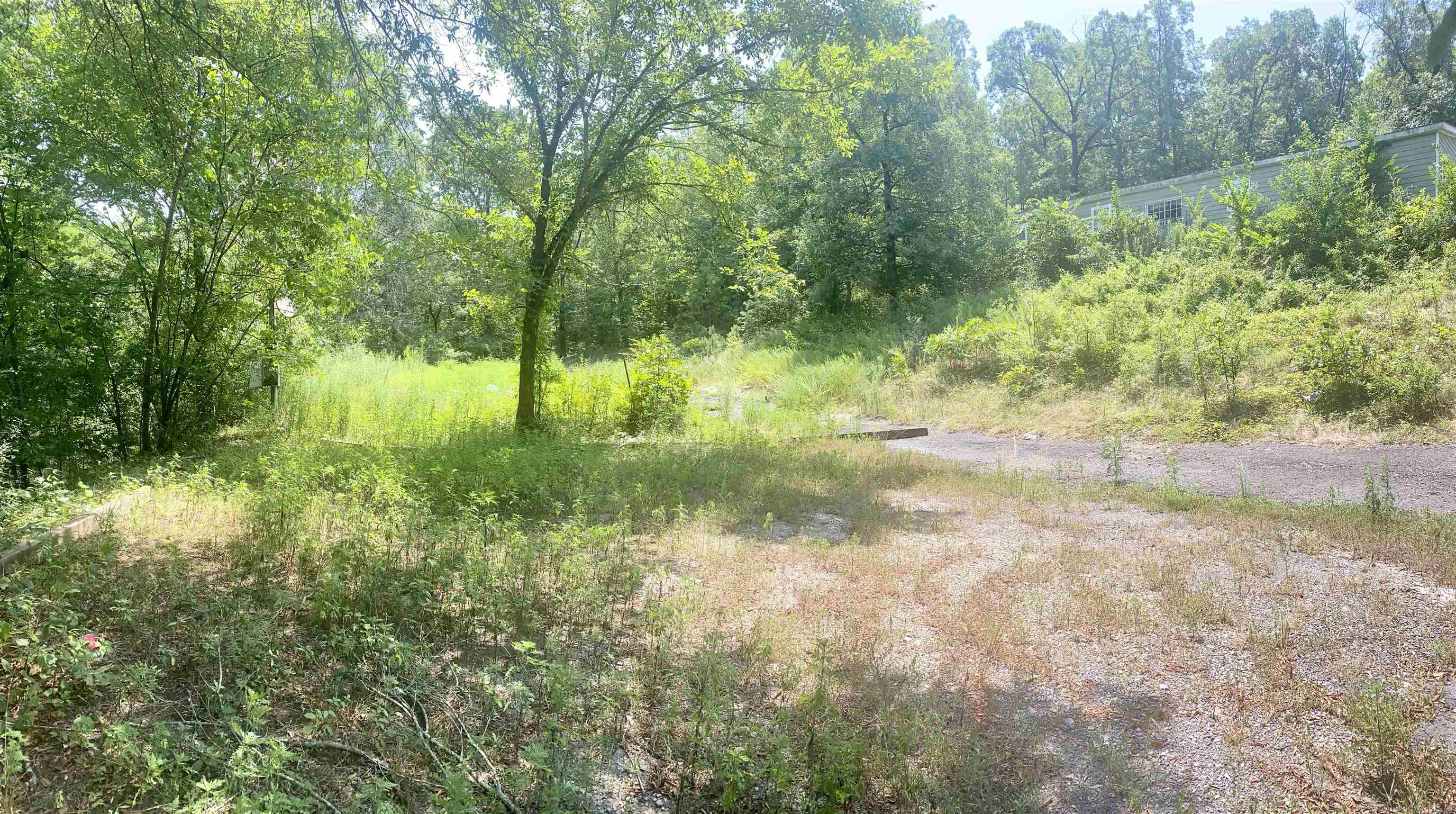 130 Piney Loop Property Photo 8