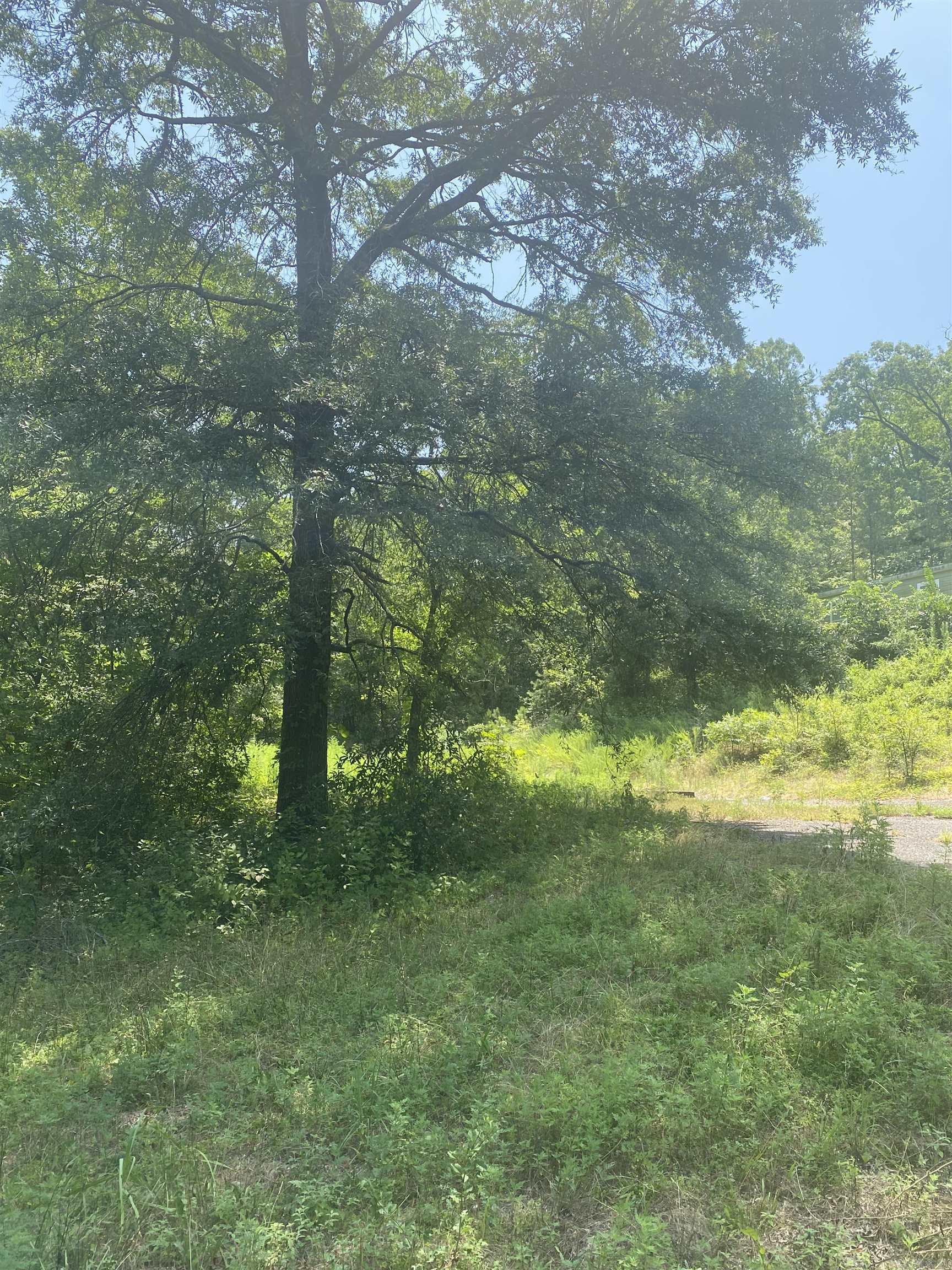 130 Piney Loop Property Photo 9