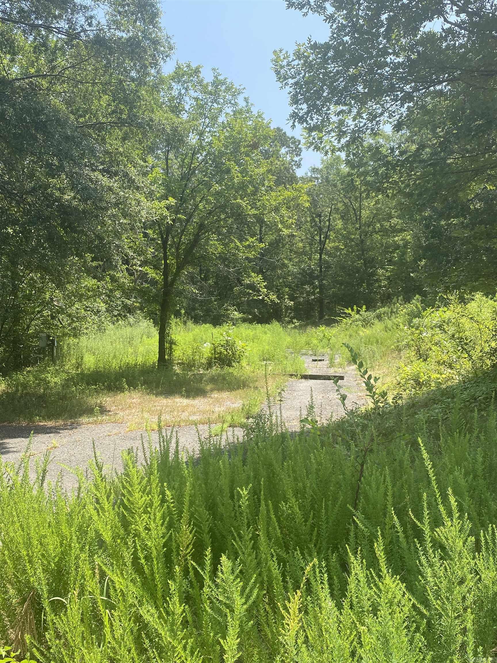 130 Piney Loop Property Photo 10