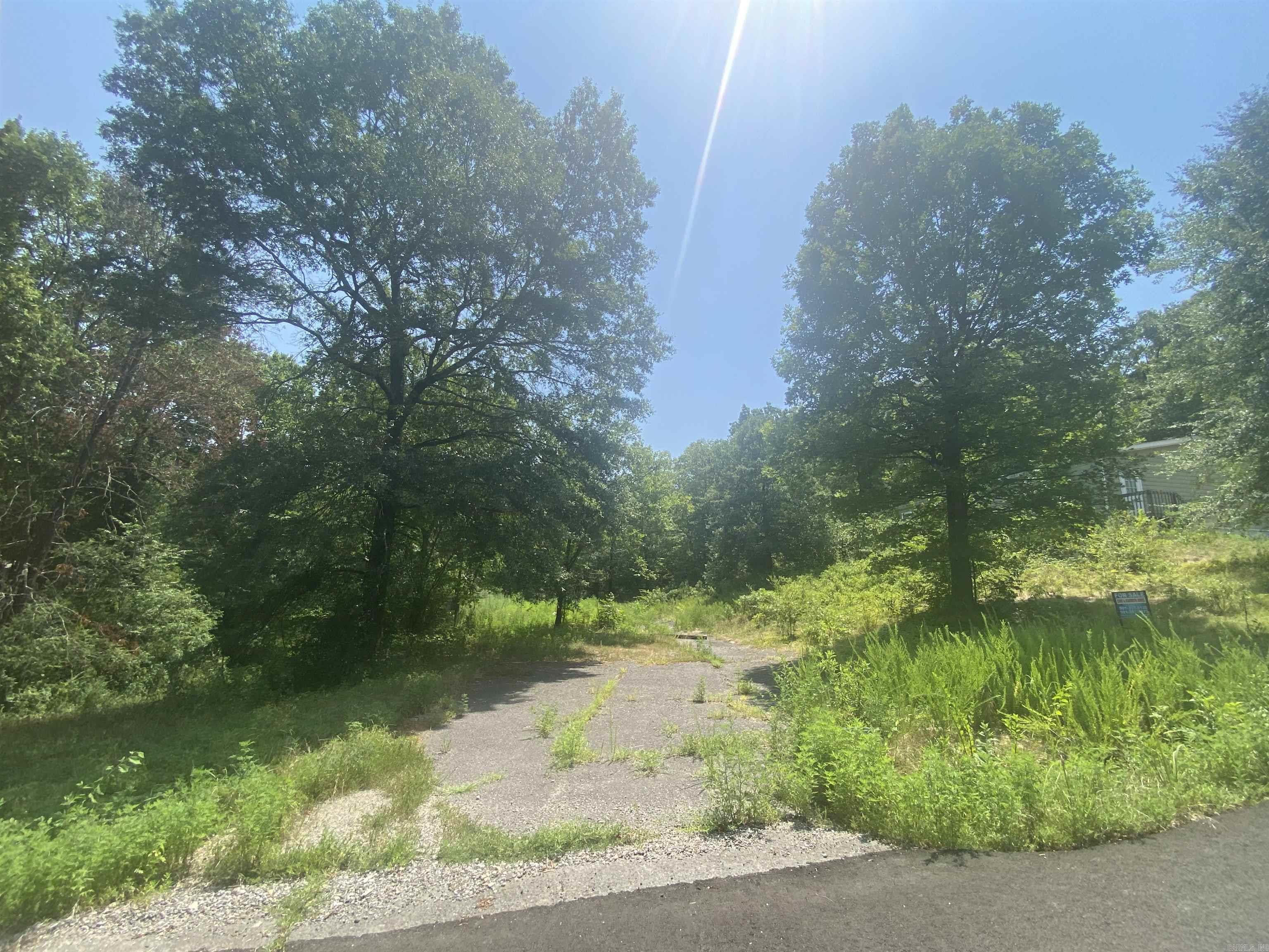 130 Piney Loop Property Photo 12