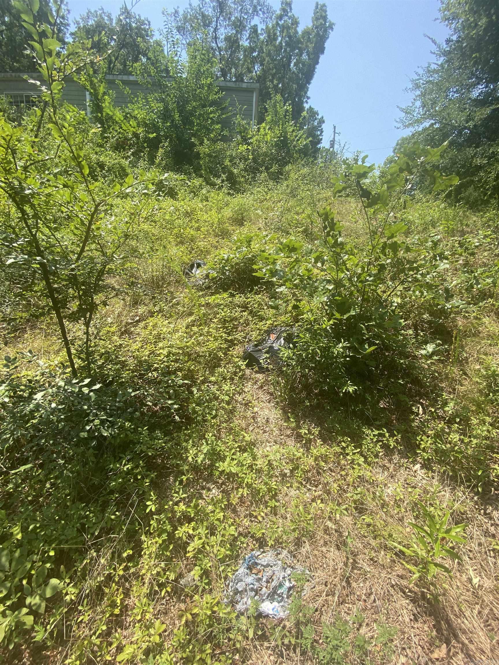 130 Piney Loop Property Photo 13