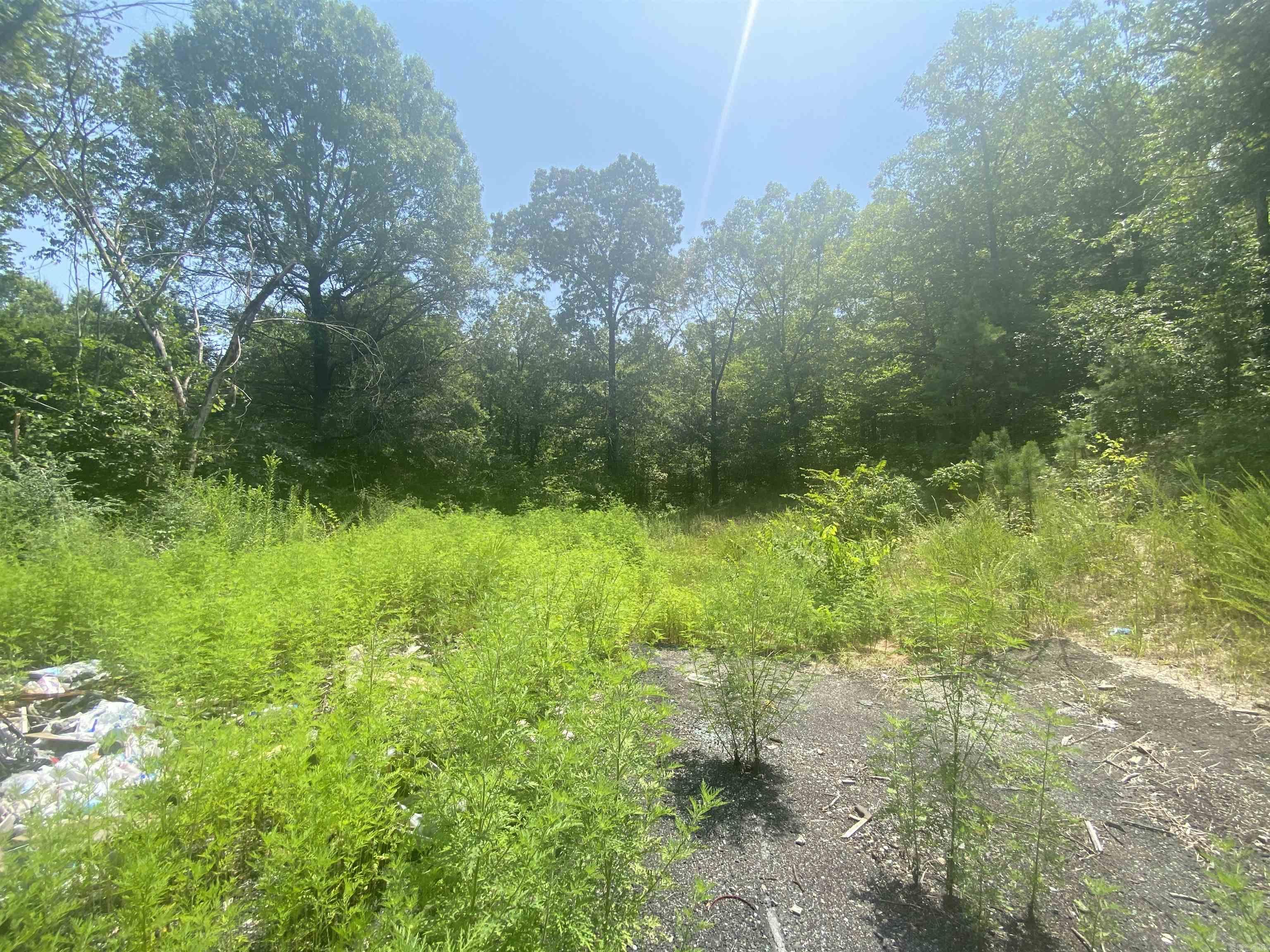 130 Piney Loop Property Photo 15