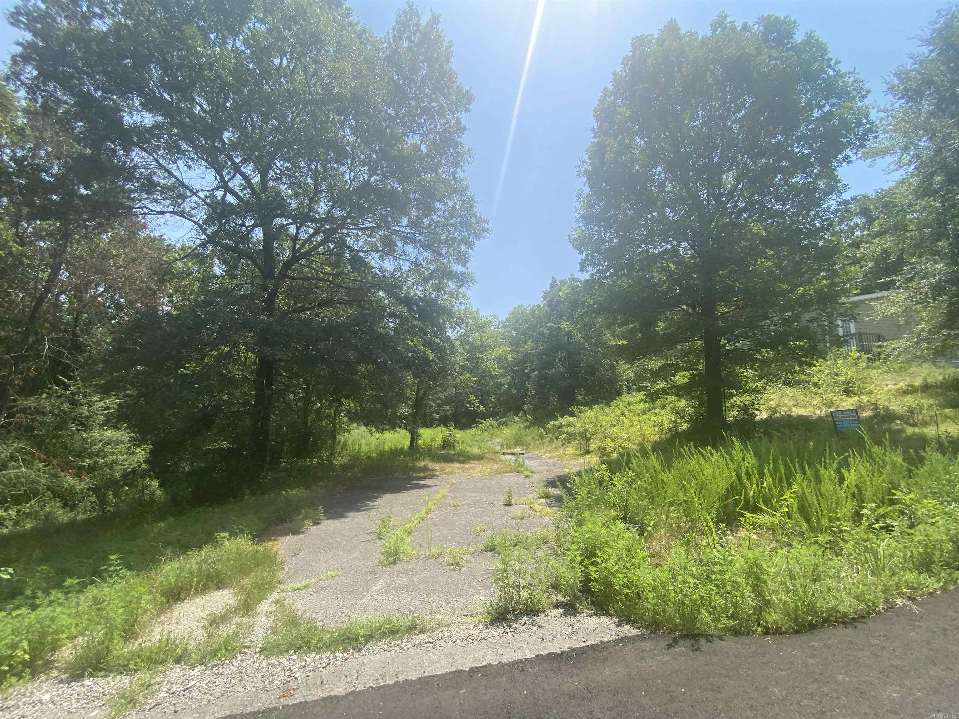130 Piney Loop Property Photo 16