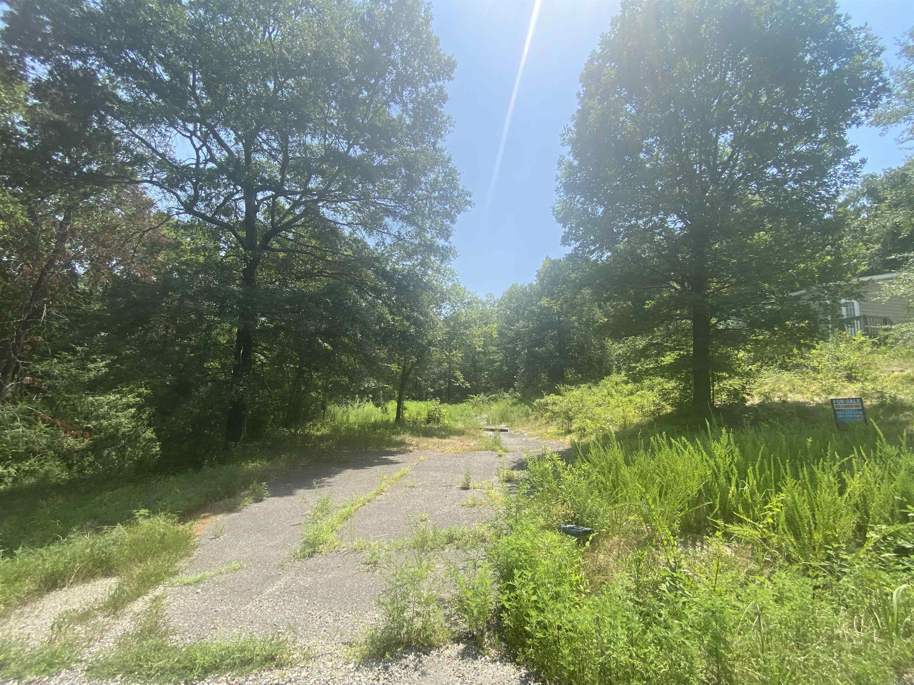 130 Piney Loop Property Photo 17