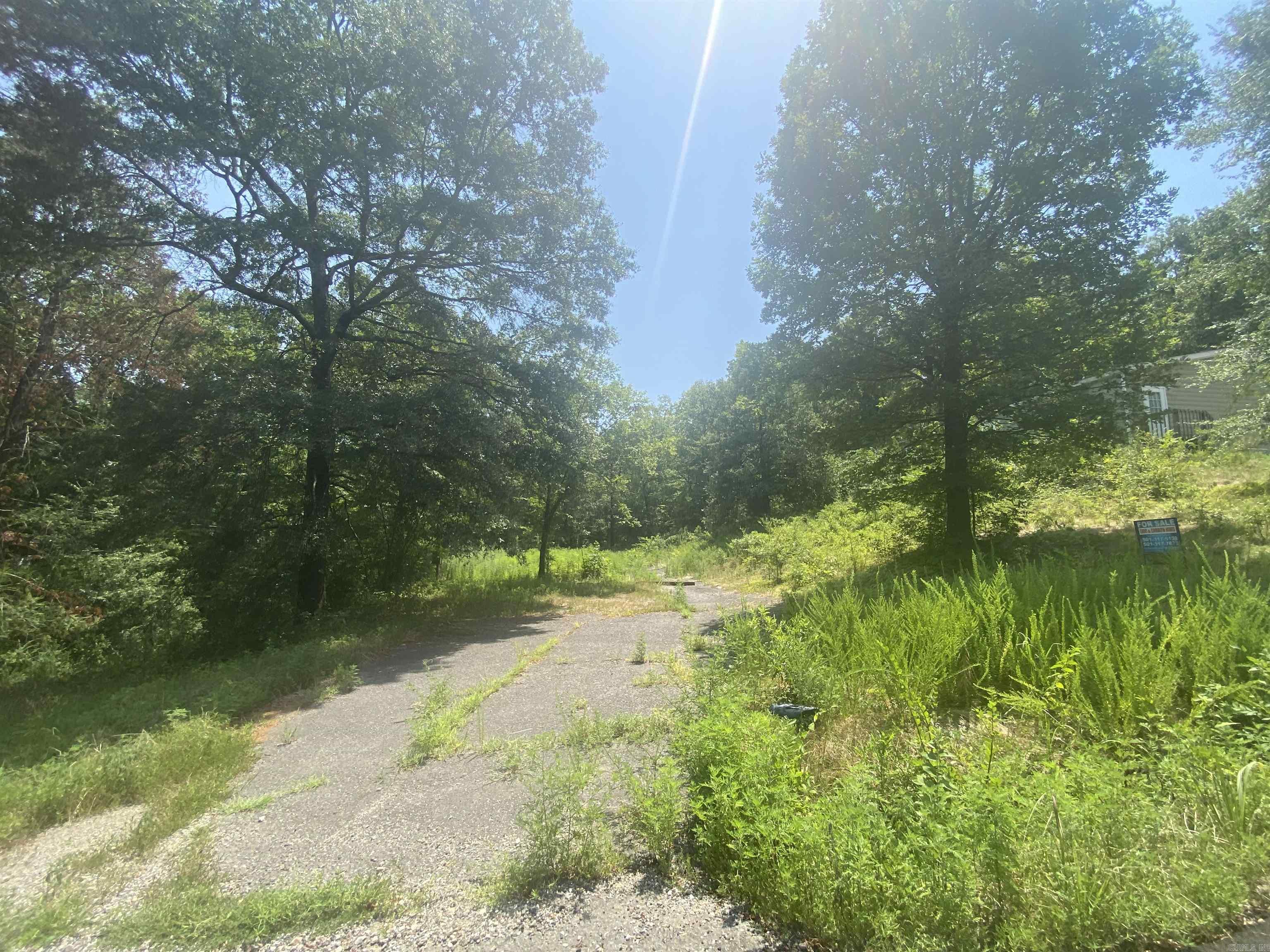 130 Piney Loop Property Photo 18