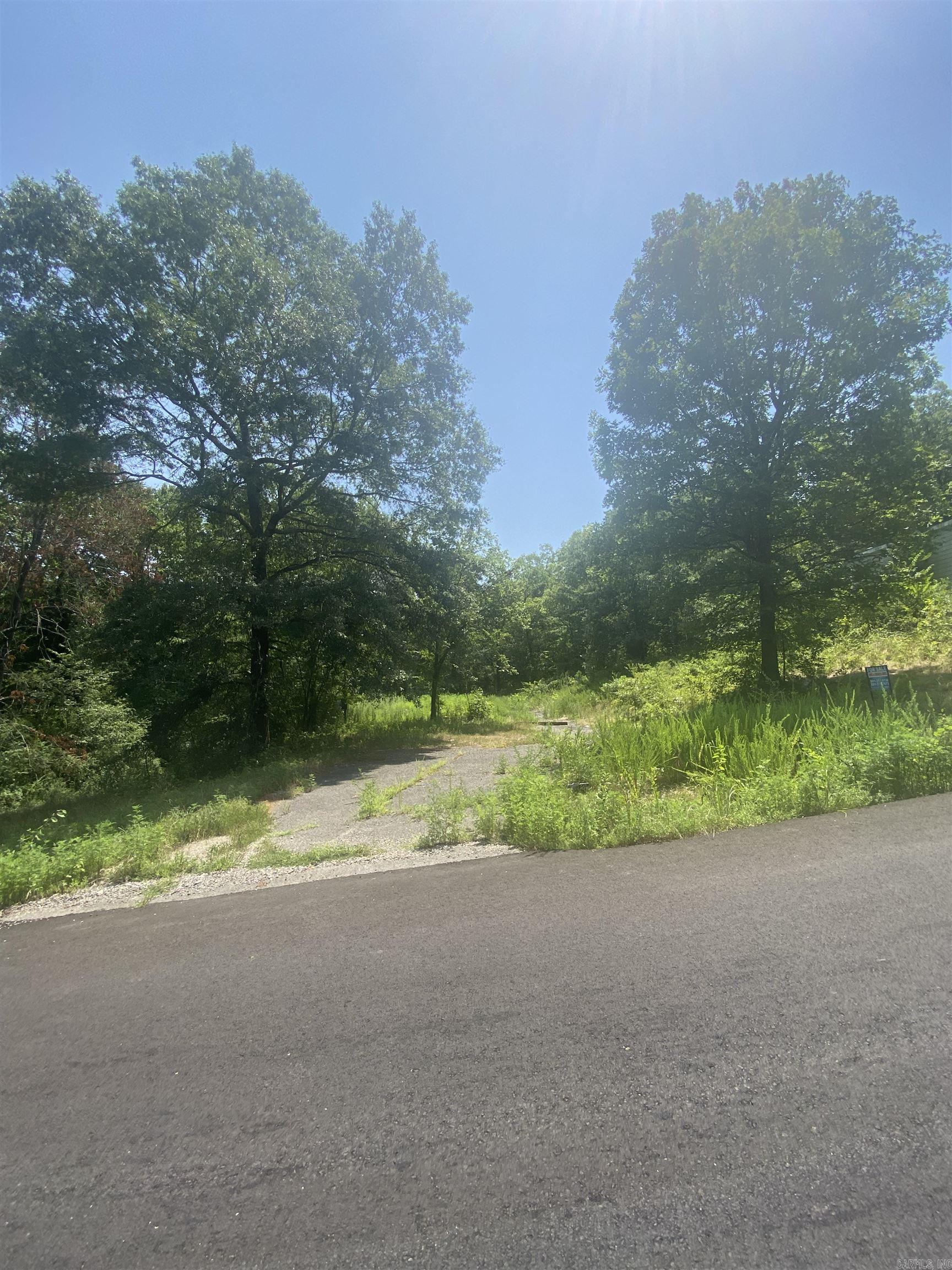 130 Piney Loop Property Photo 19