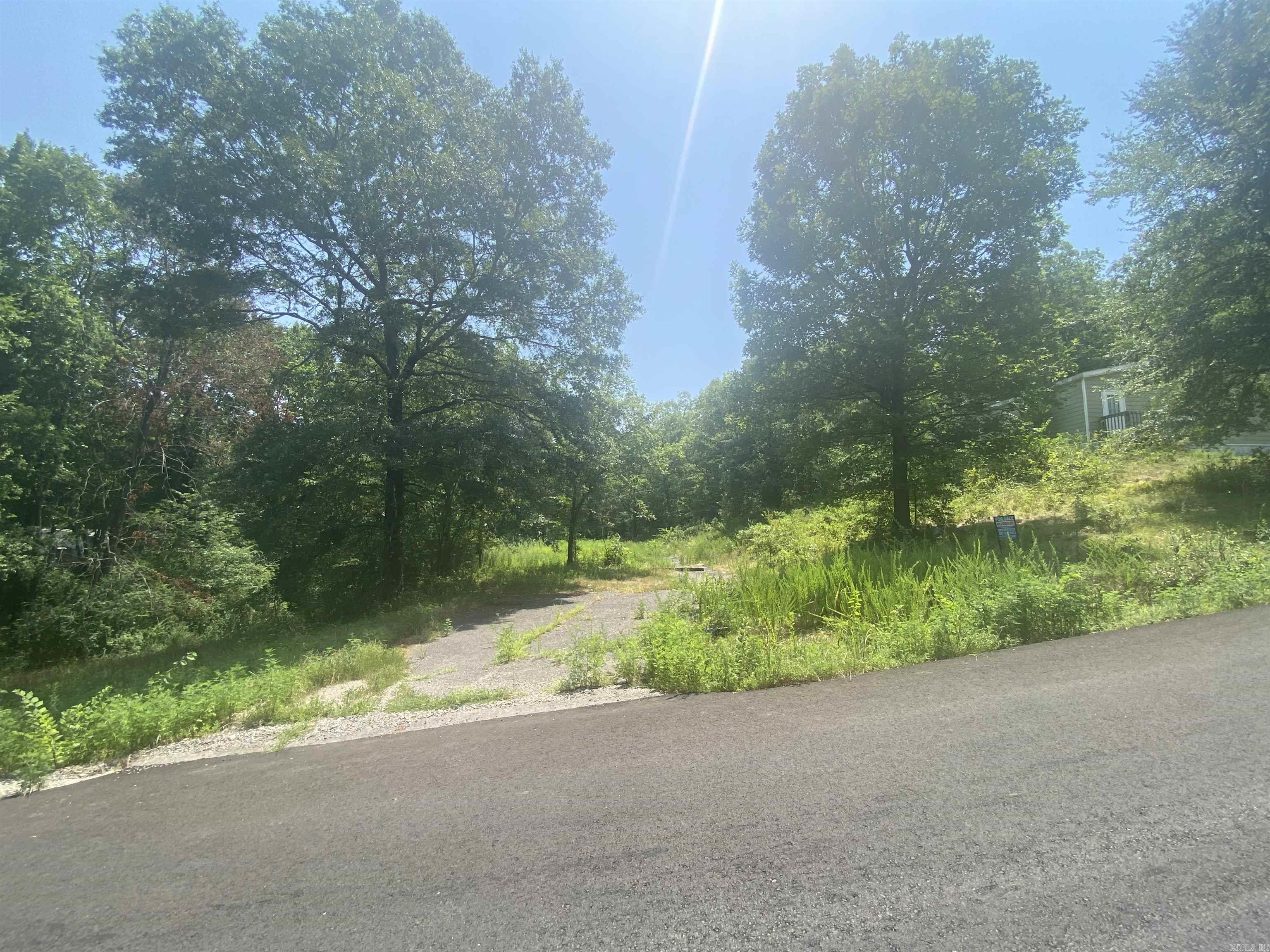 130 Piney Loop Property Photo 20
