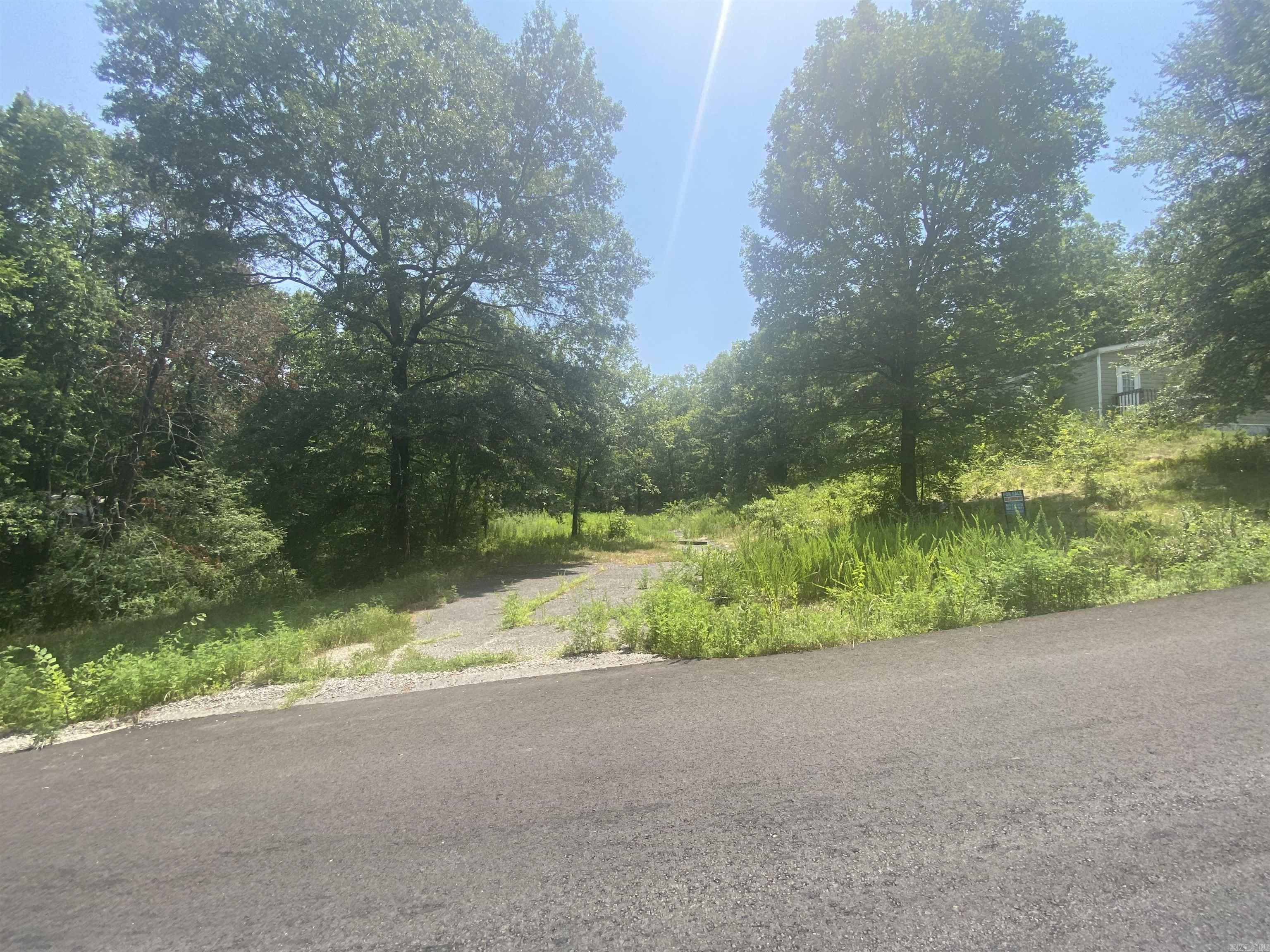 130 Piney Loop Property Photo 21