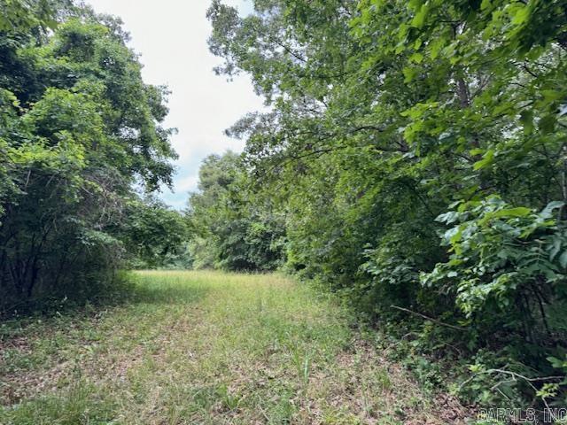 Tbd Saienni Road Property Photo 4