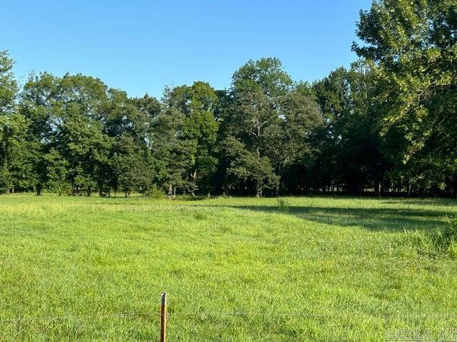 000 Jimmy Lile Road Property Photo 2
