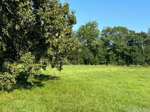000 Jimmy Lile Road Property Photo 4