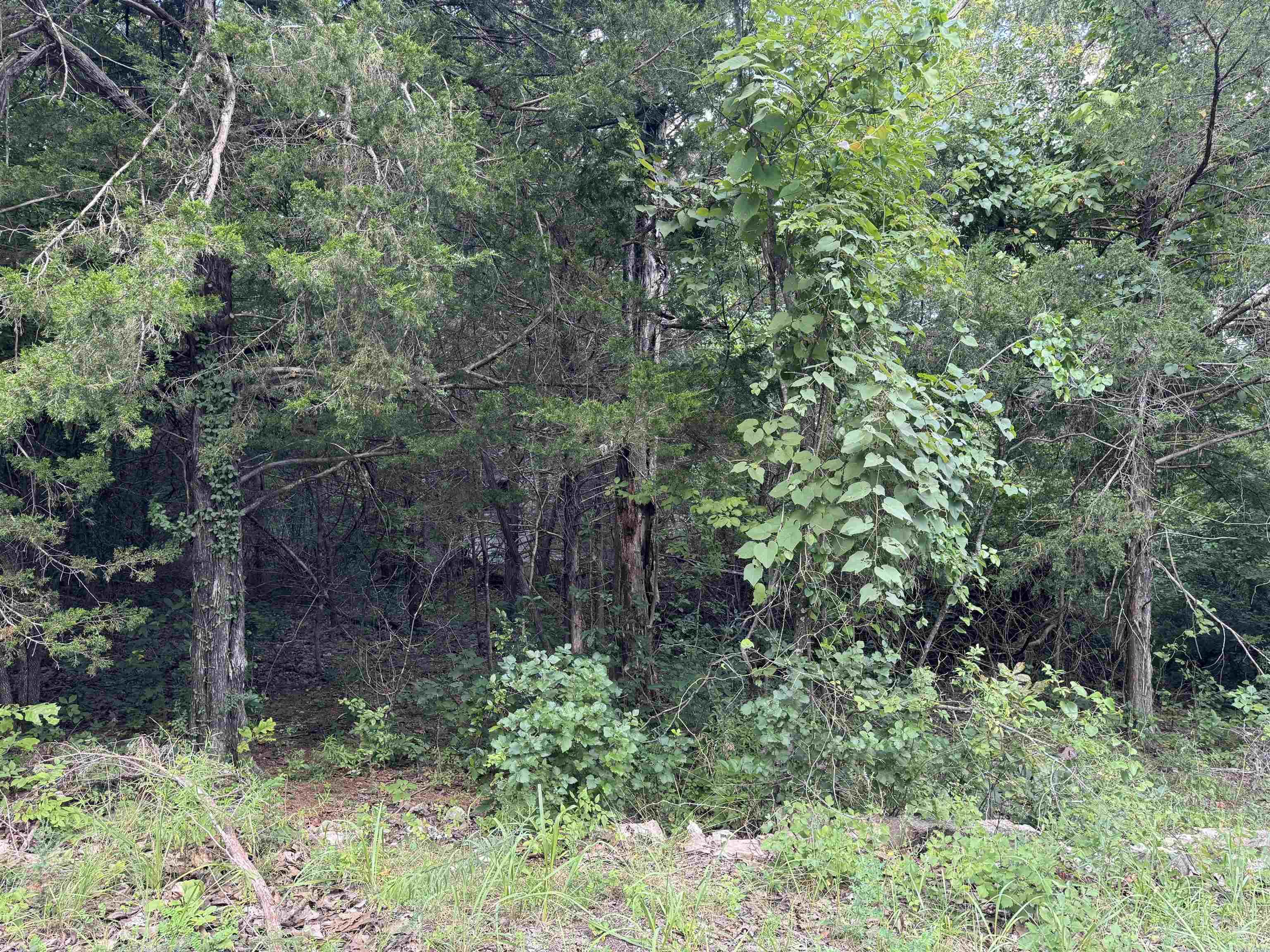 1302 Blackbird Ln Property Photo 2