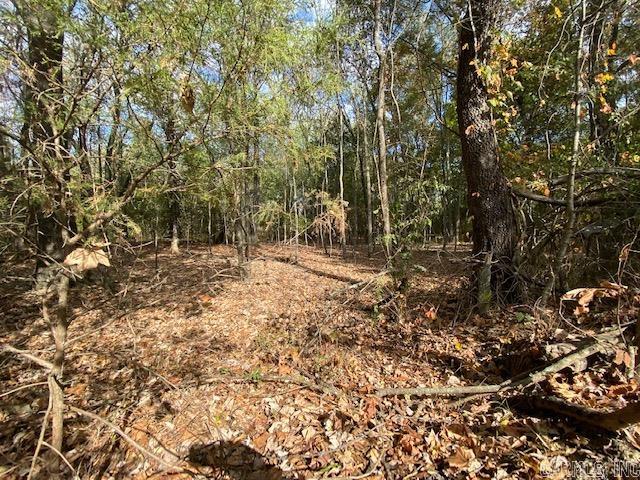00 N Lliy And Hwy 60 Highway Property Photo 1