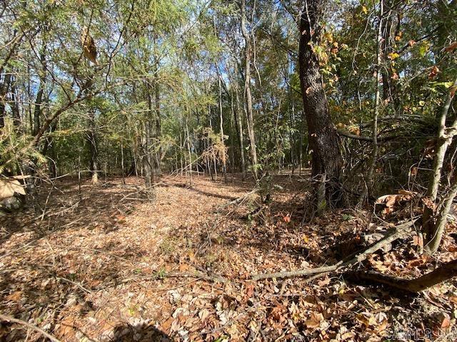 00 N Lliy And Hwy 60 Highway Property Photo 2
