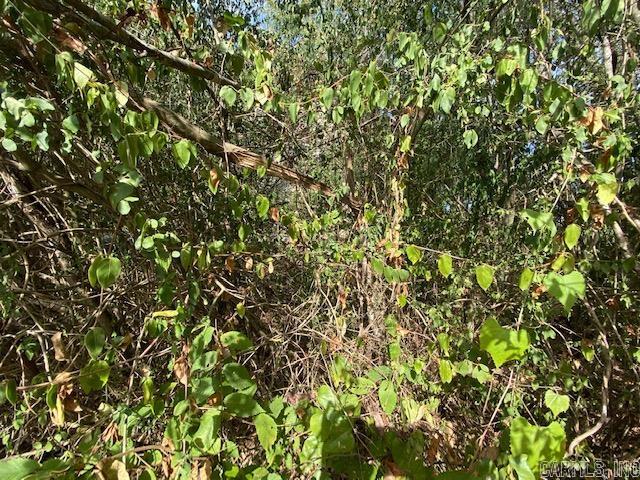 00 N Lliy And Hwy 60 Highway Property Photo 3